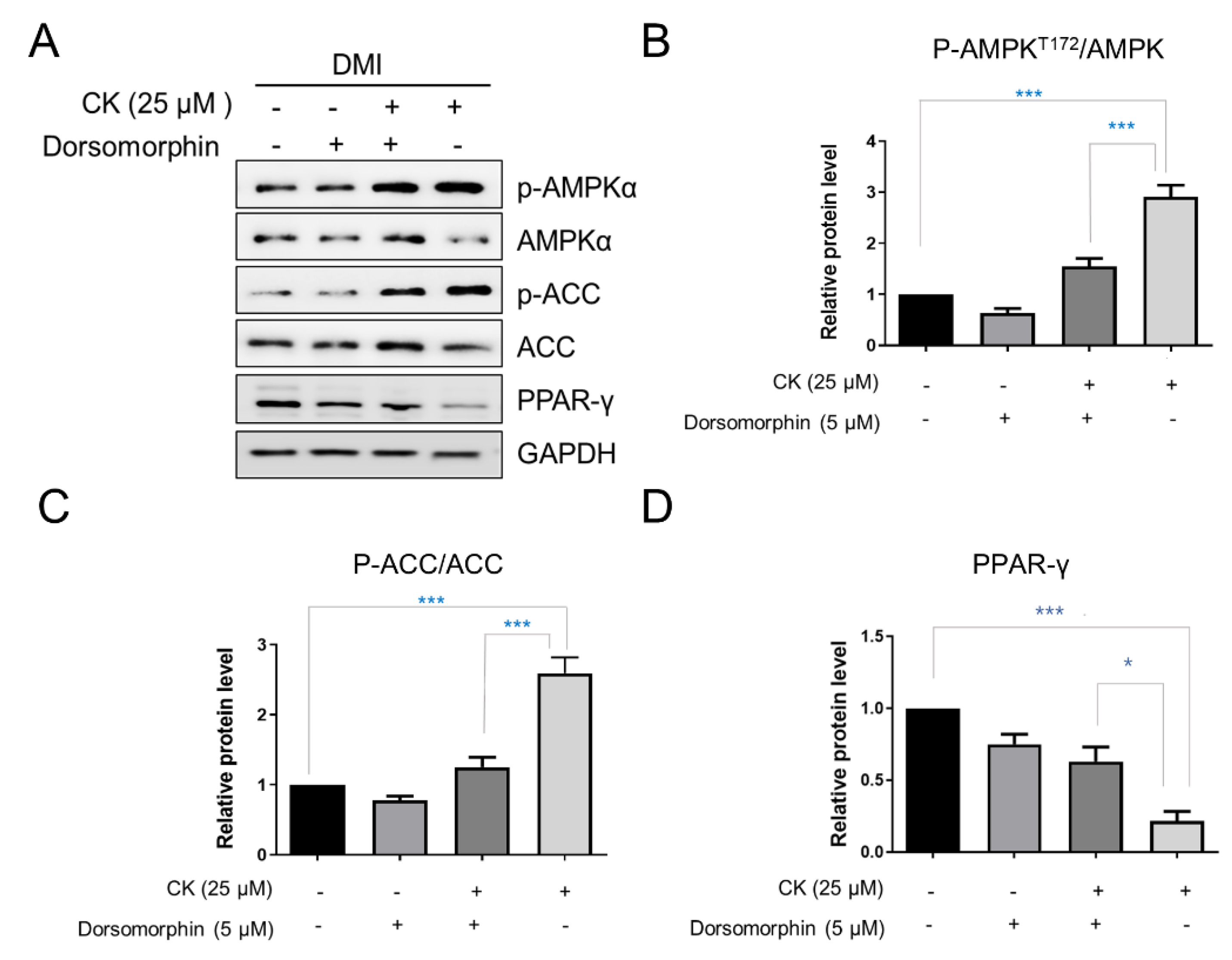 Antioxidants 11 01890 g007