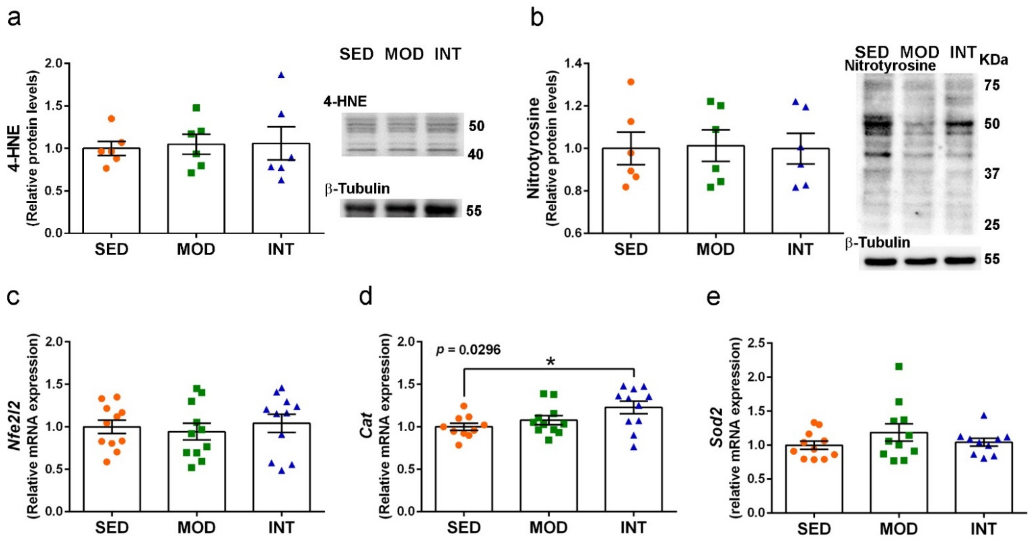 Antioxidants 11 01891 g009