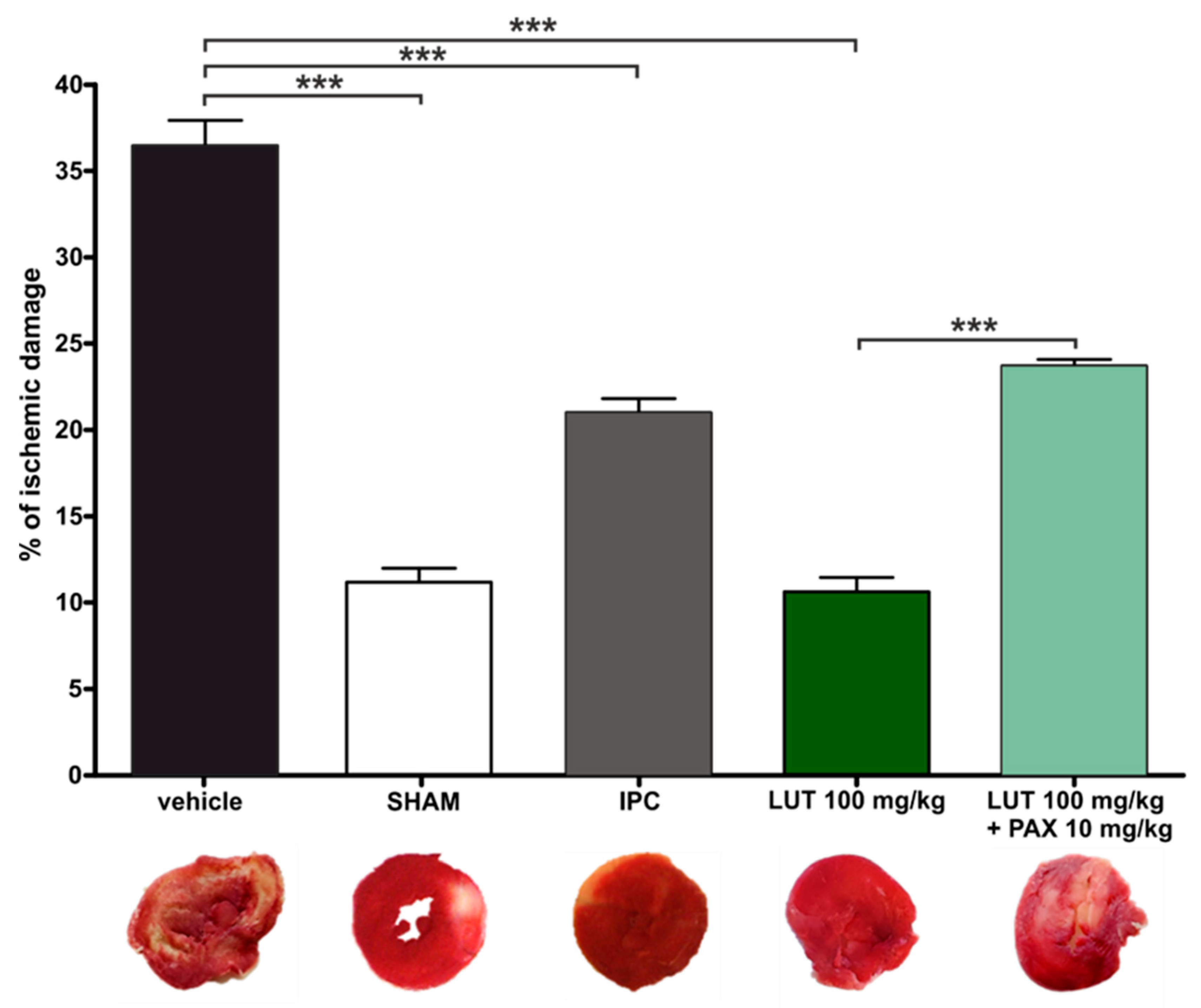 Antioxidants 11 01892 g001