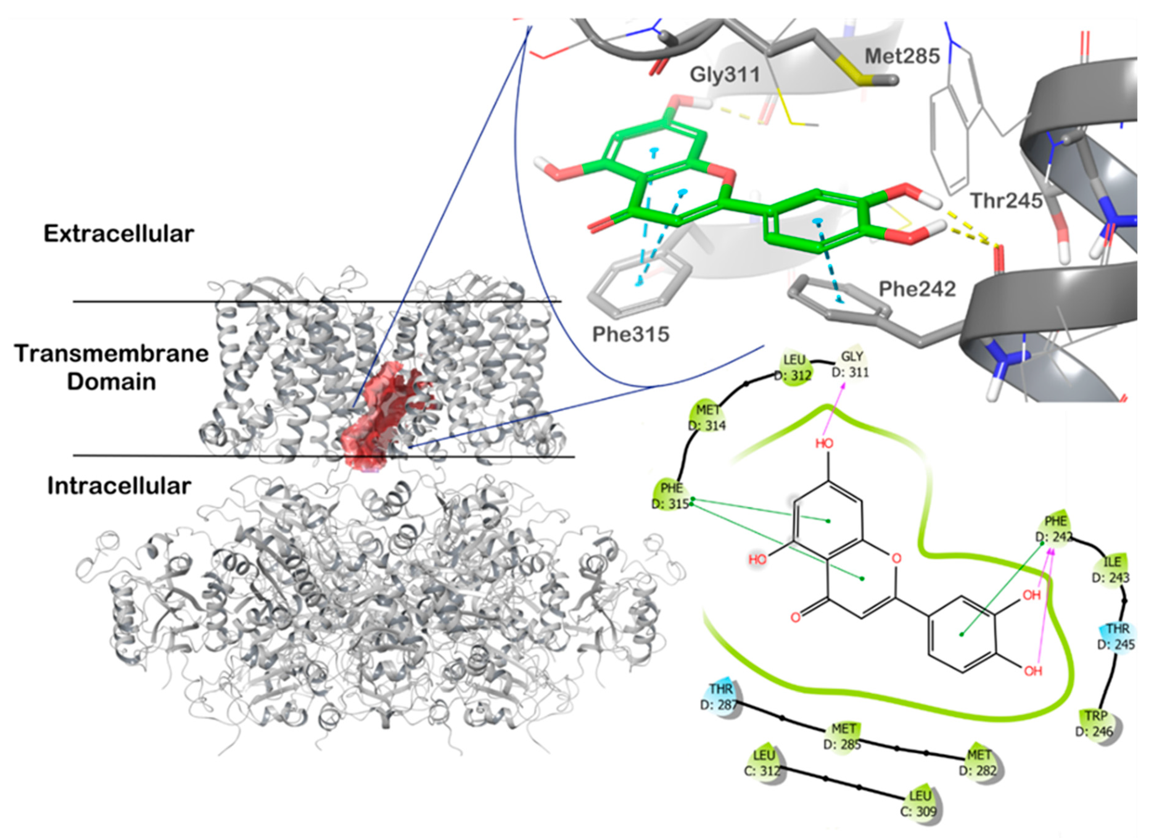 Antioxidants 11 01892 g006