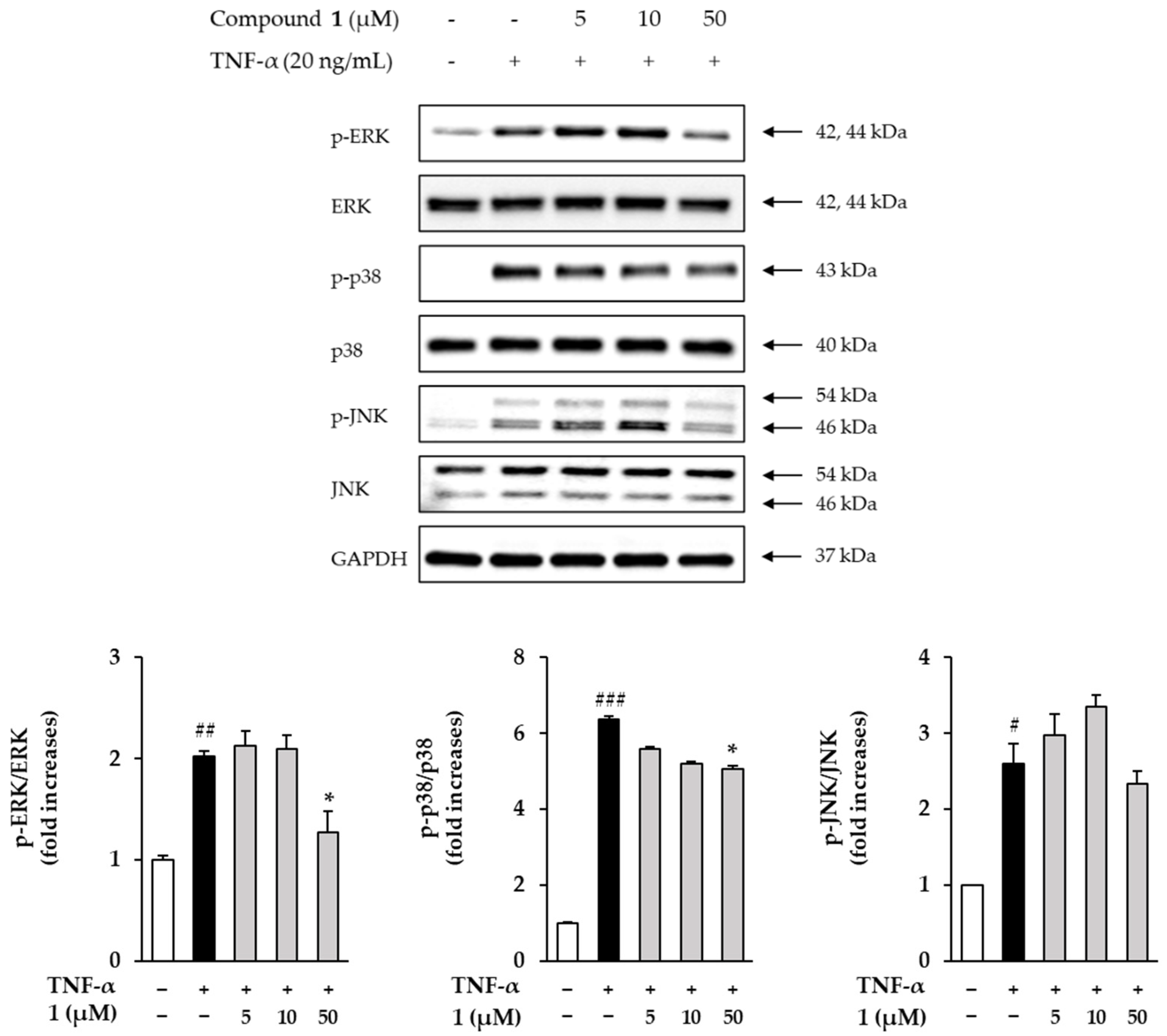 Antioxidants 11 01894 g007