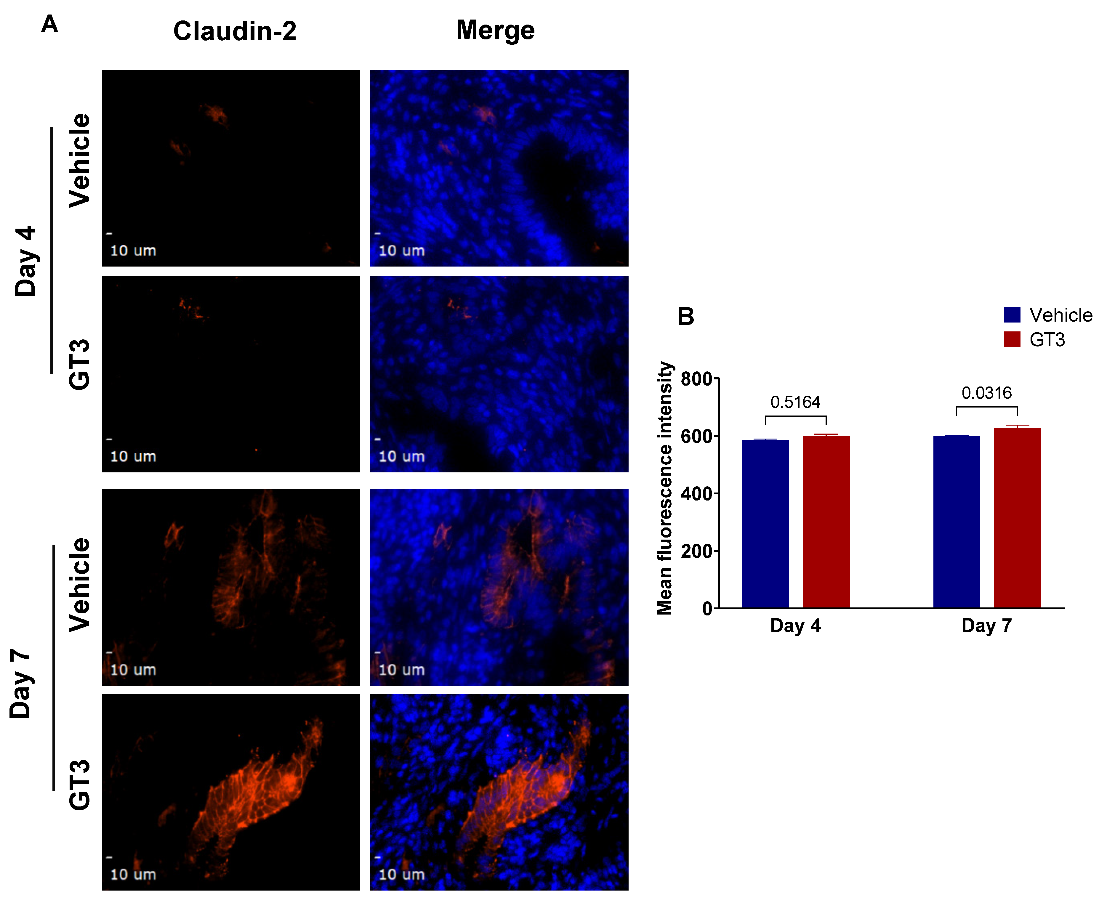Antioxidants 11 01895 g007 Antioxidants 11 01895 g007