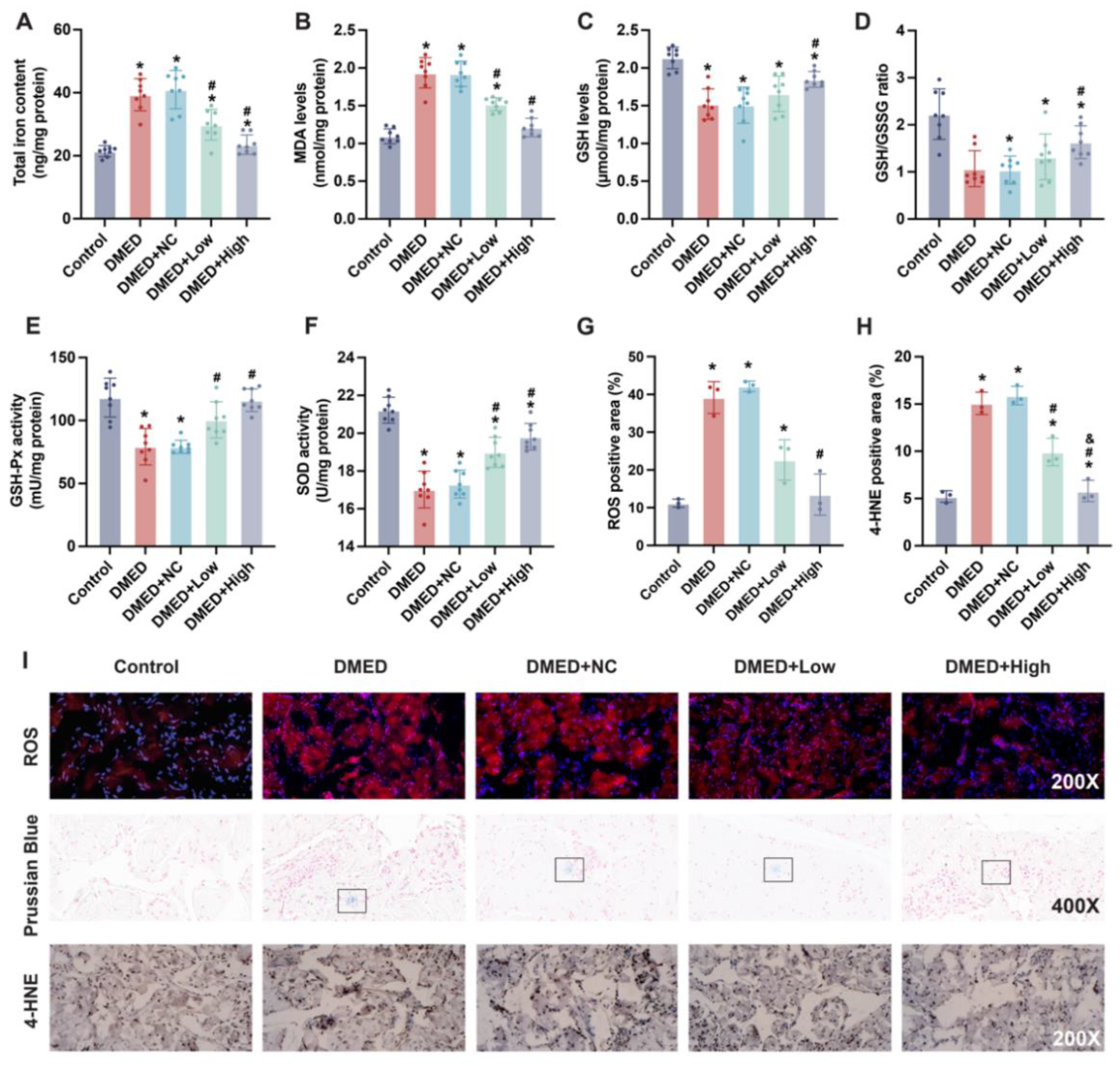 Antioxidants 11 01896 g003 Antioxidants 11 01896 g003