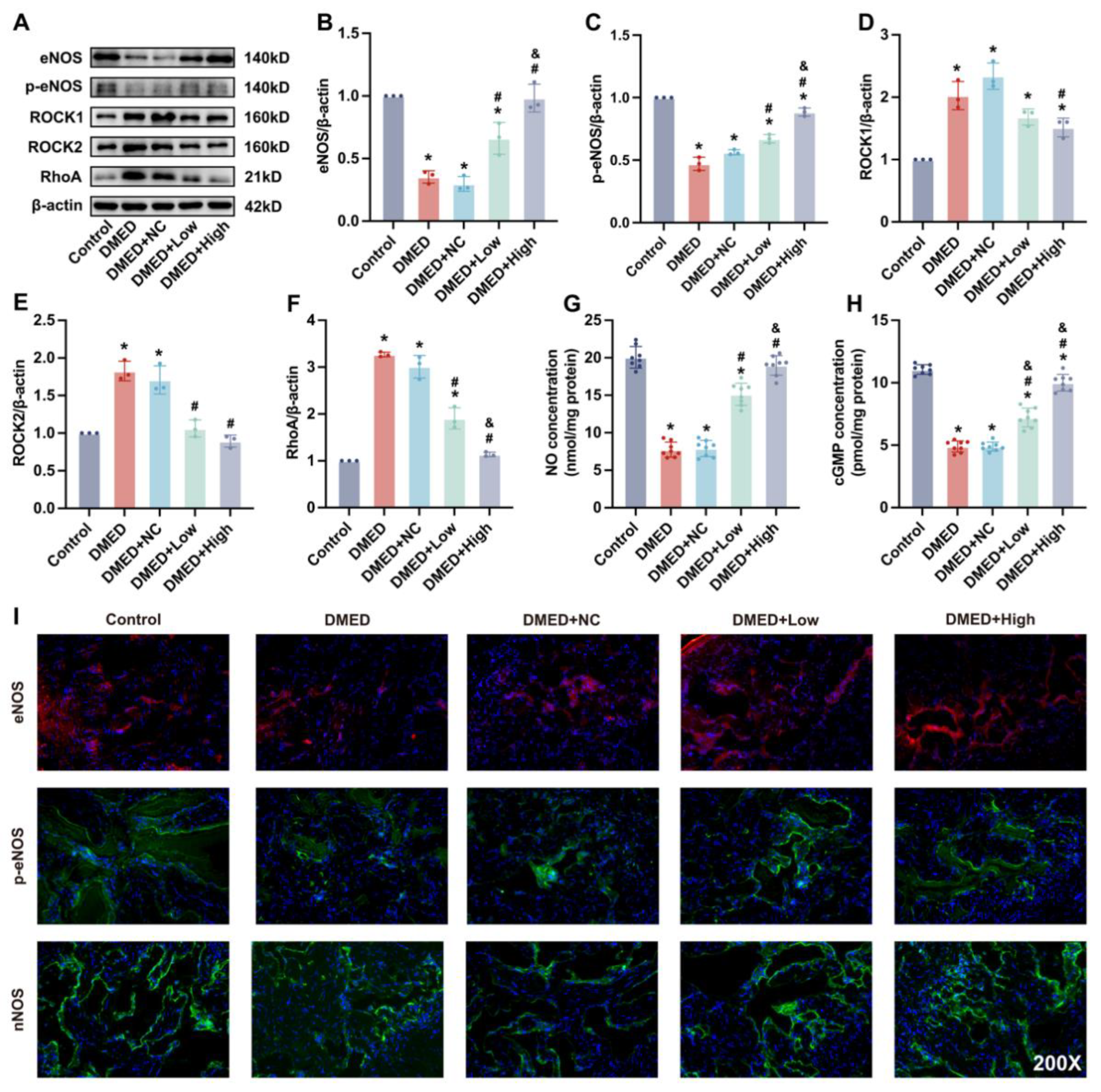 Antioxidants 11 01896 g005 Antioxidants 11 01896 g005
