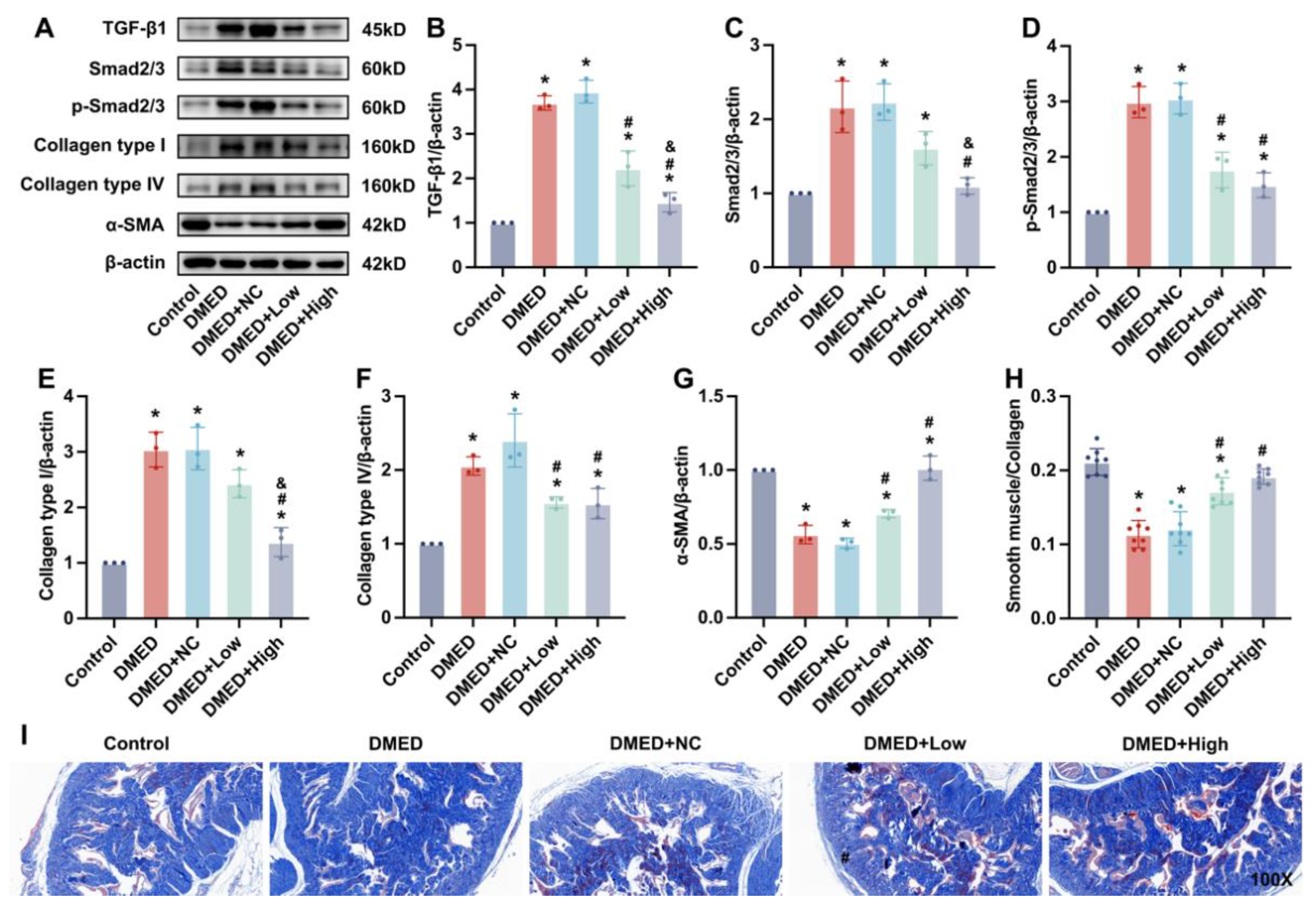 Antioxidants 11 01896 g006 Antioxidants 11 01896 g006