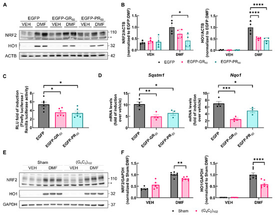 トップス CFTL MORPHOSE2 VIP-2/SC/D 9SUB/F - Termination board - 2315162 | Phoenix Contact