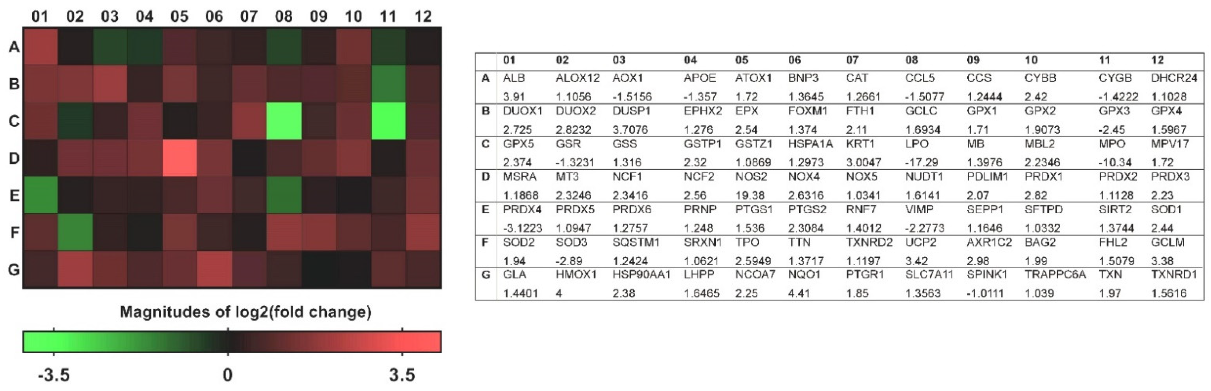 Antioxidants 11 01899 g002 Antioxidants 11 01899 g002