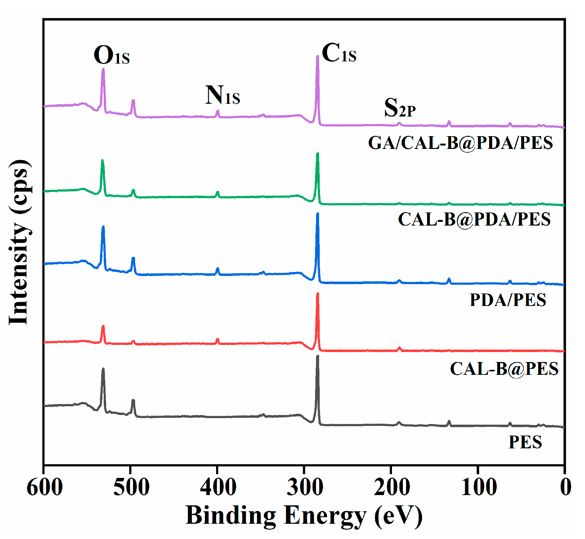 Antioxidants 11 01906 g004