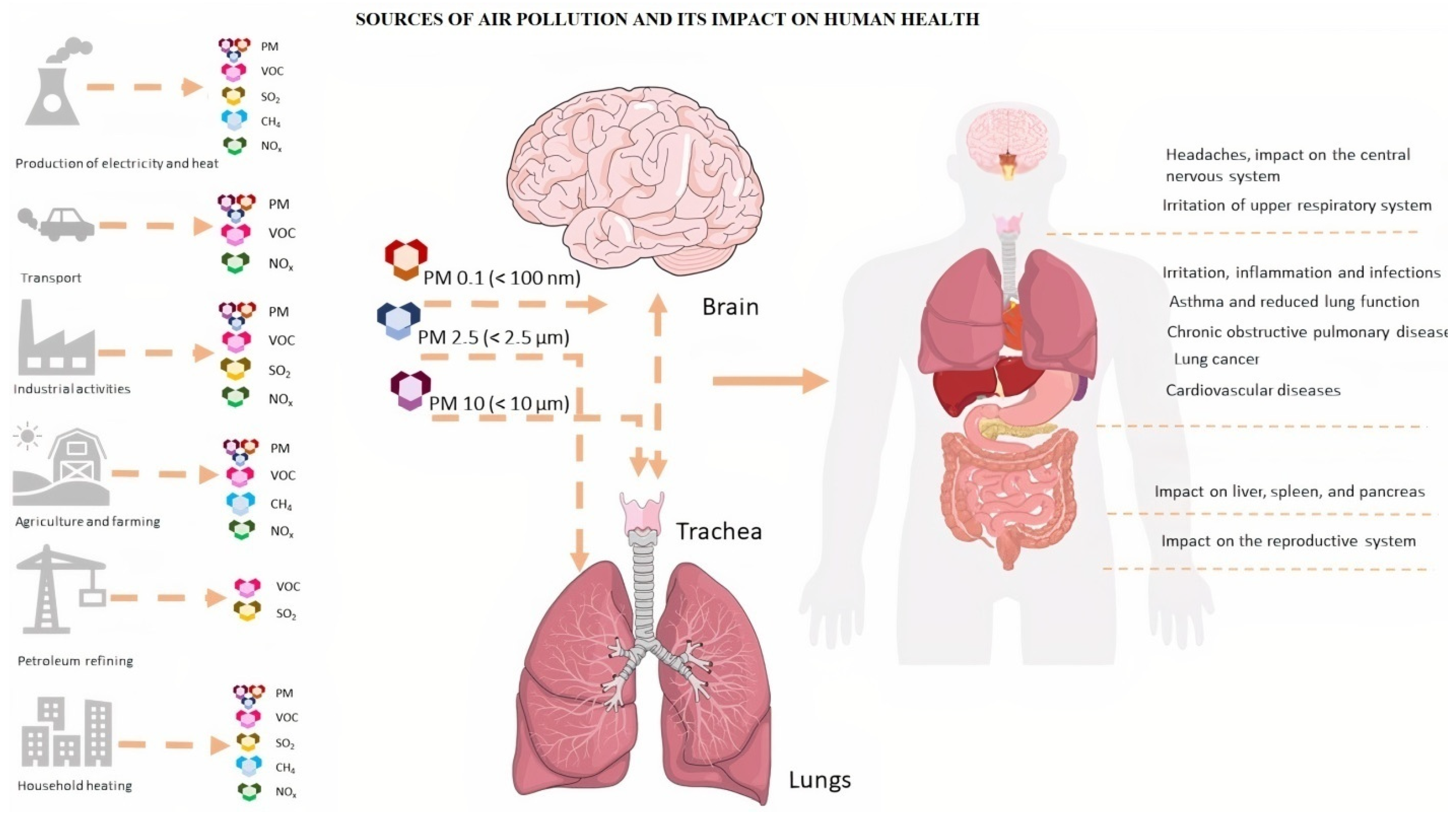 Antioxidants 11 01908 g001