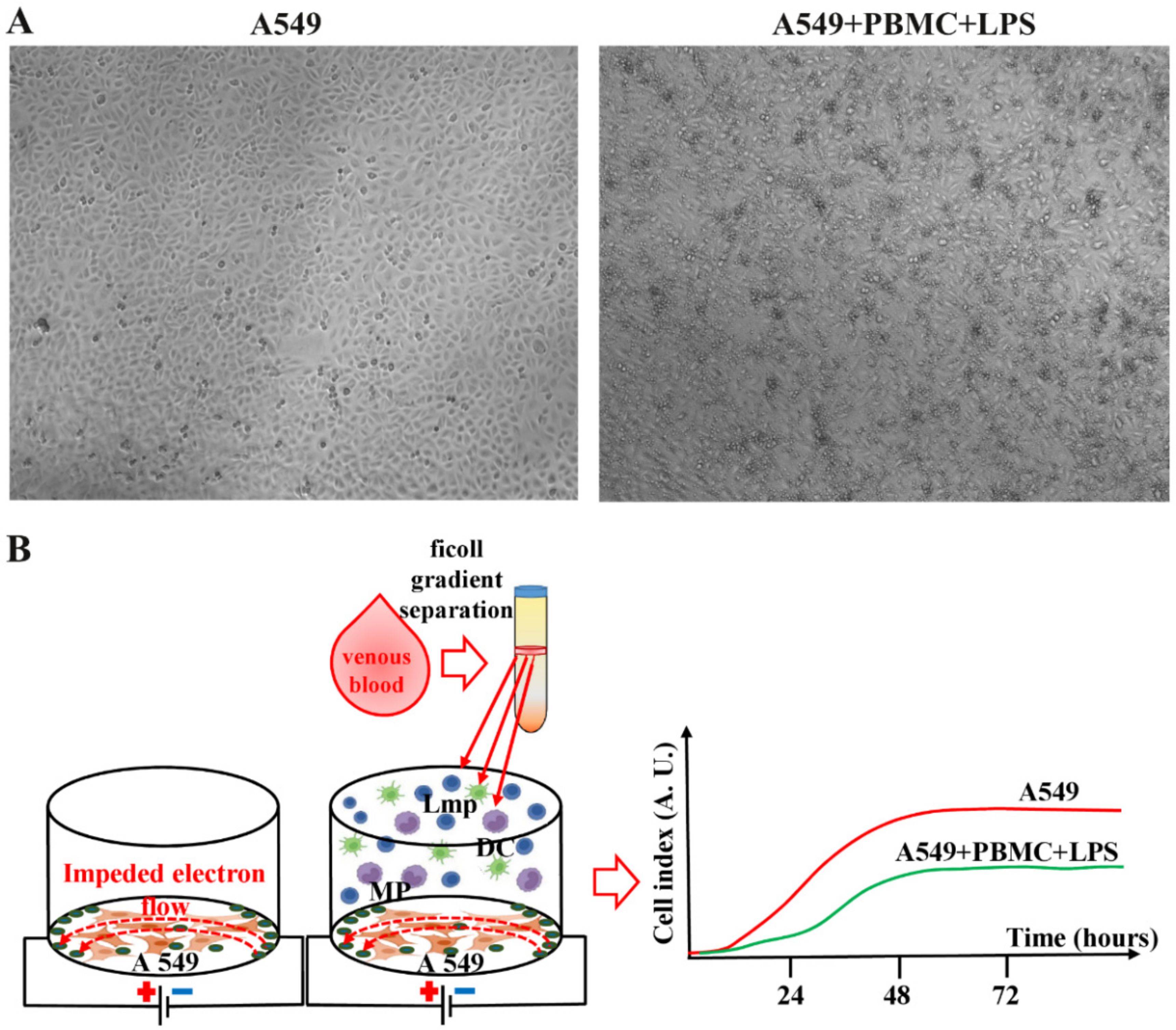 Antioxidants 11 01910 g001