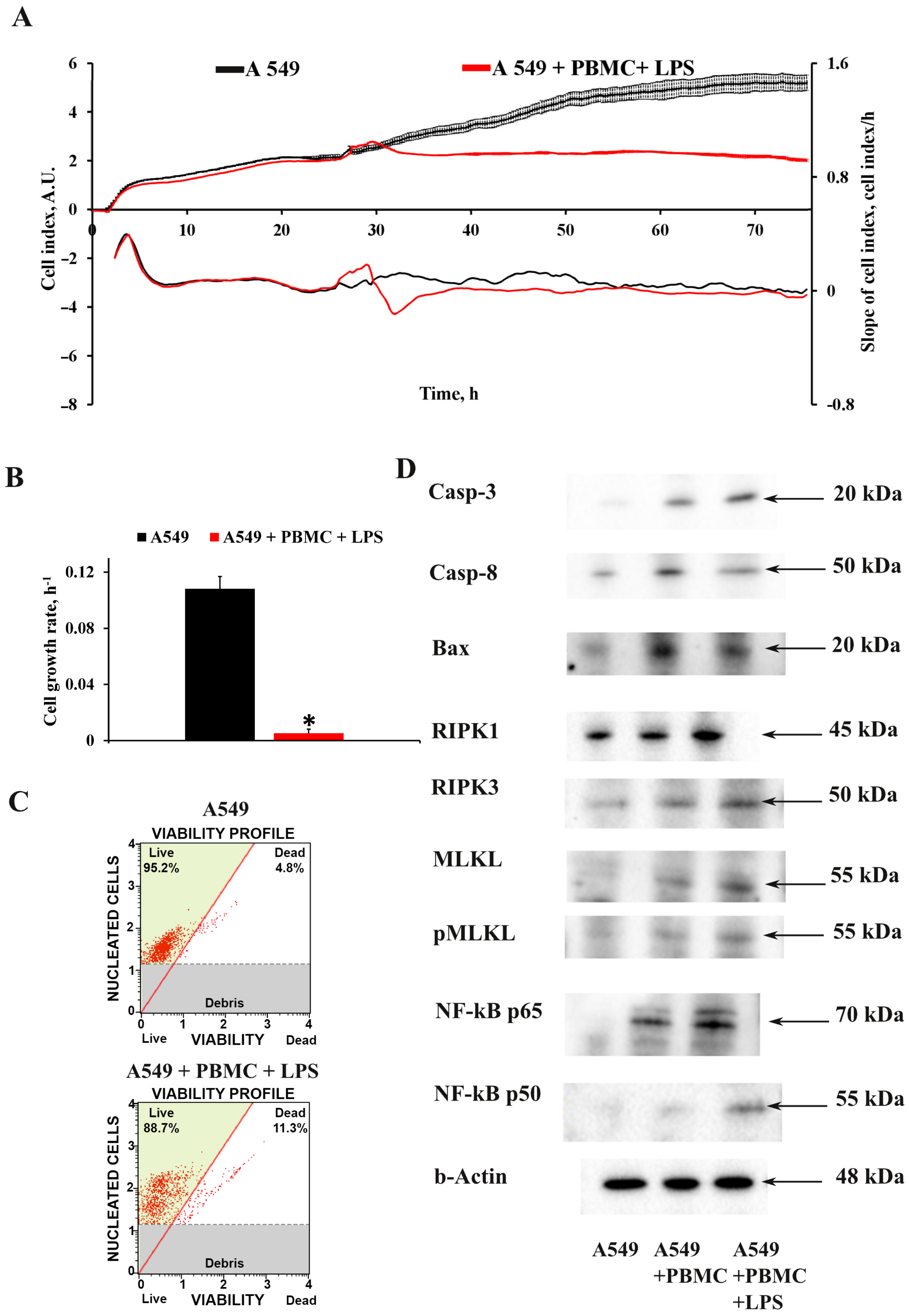 Antioxidants 11 01910 g002