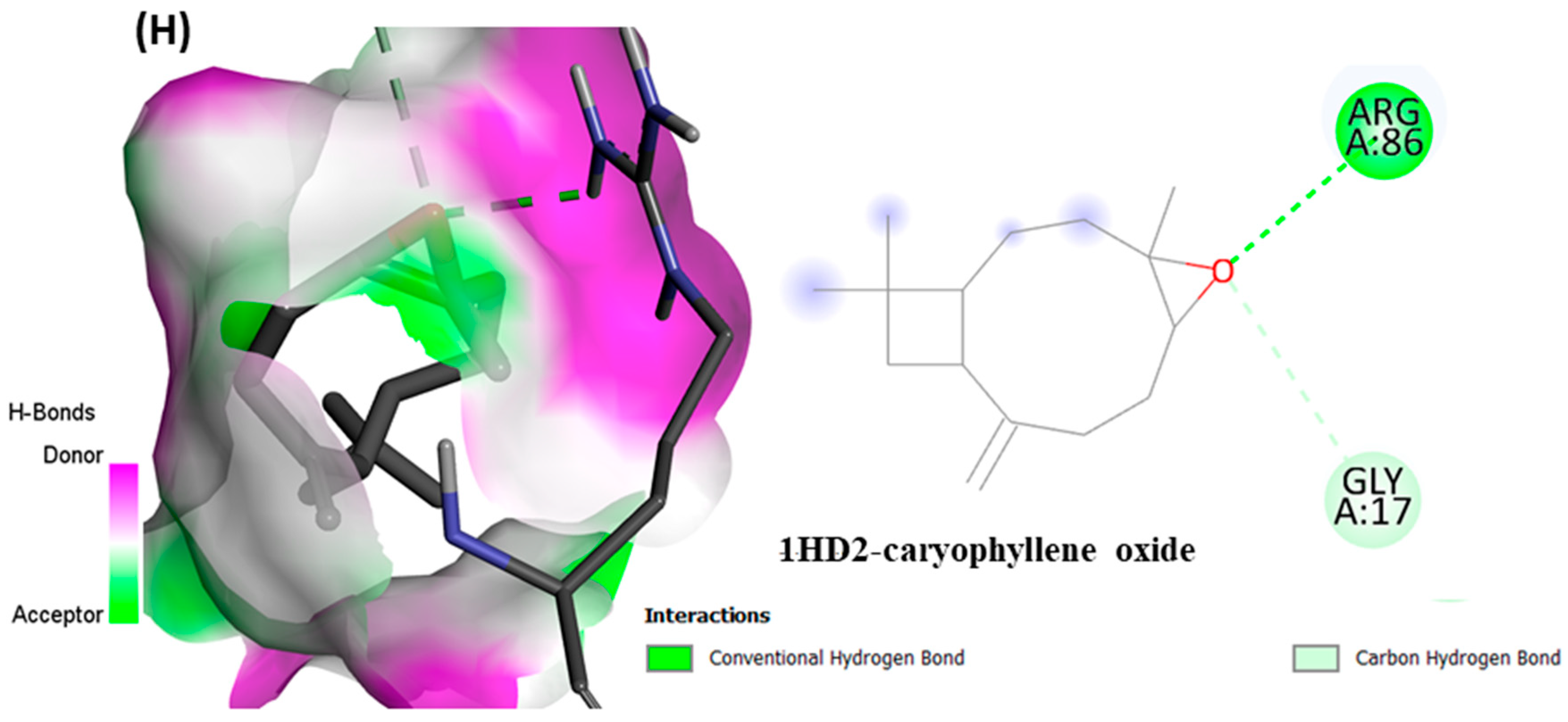 Antioxidants 11 01911 g006d 550
