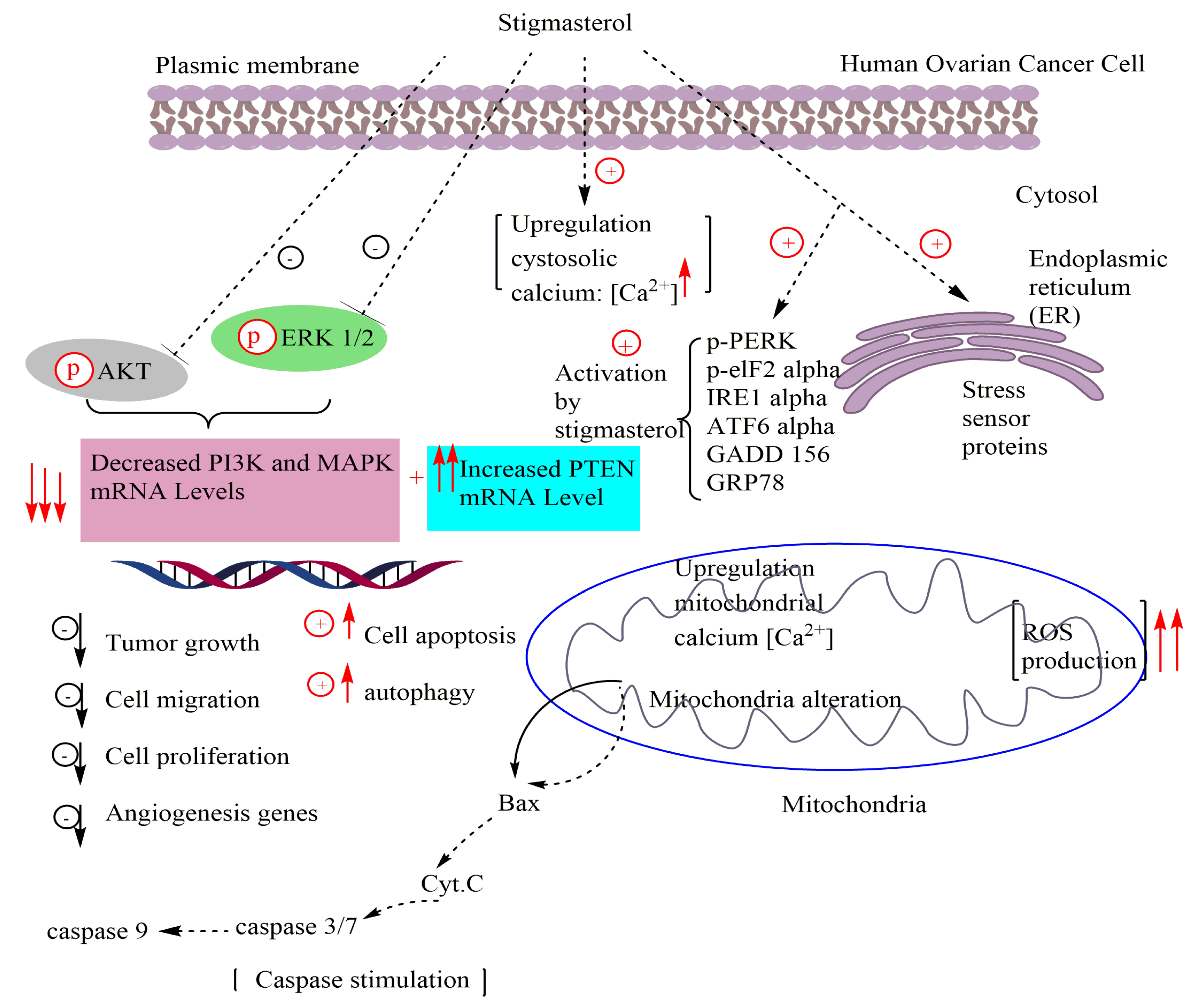 Antioxidants 11 01912 g002