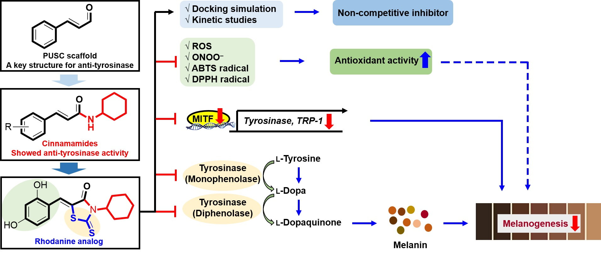 Antioxidants Free FullText Design and Synthesis of (Z)5