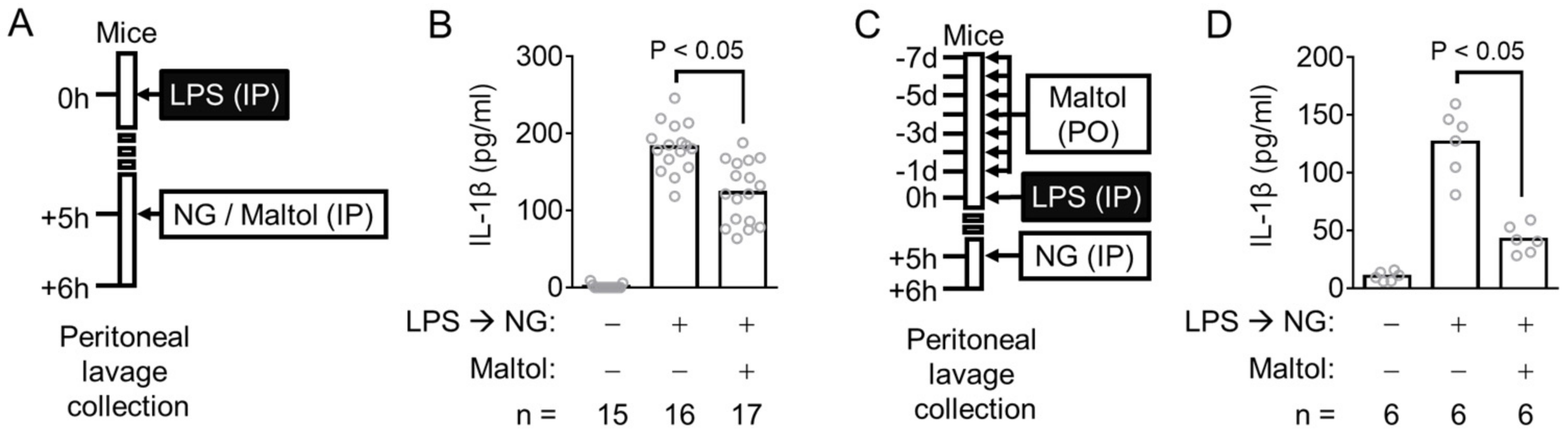 Antioxidants 11 01923 g003 Antioxidants 11 01923 g003
