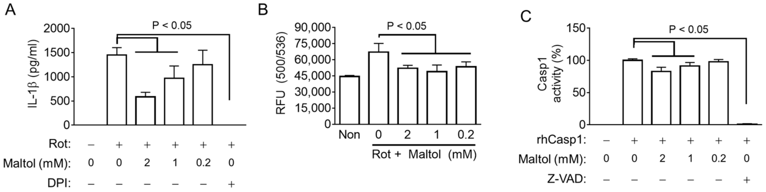 Antioxidants 11 01923 g004 Antioxidants 11 01923 g004
