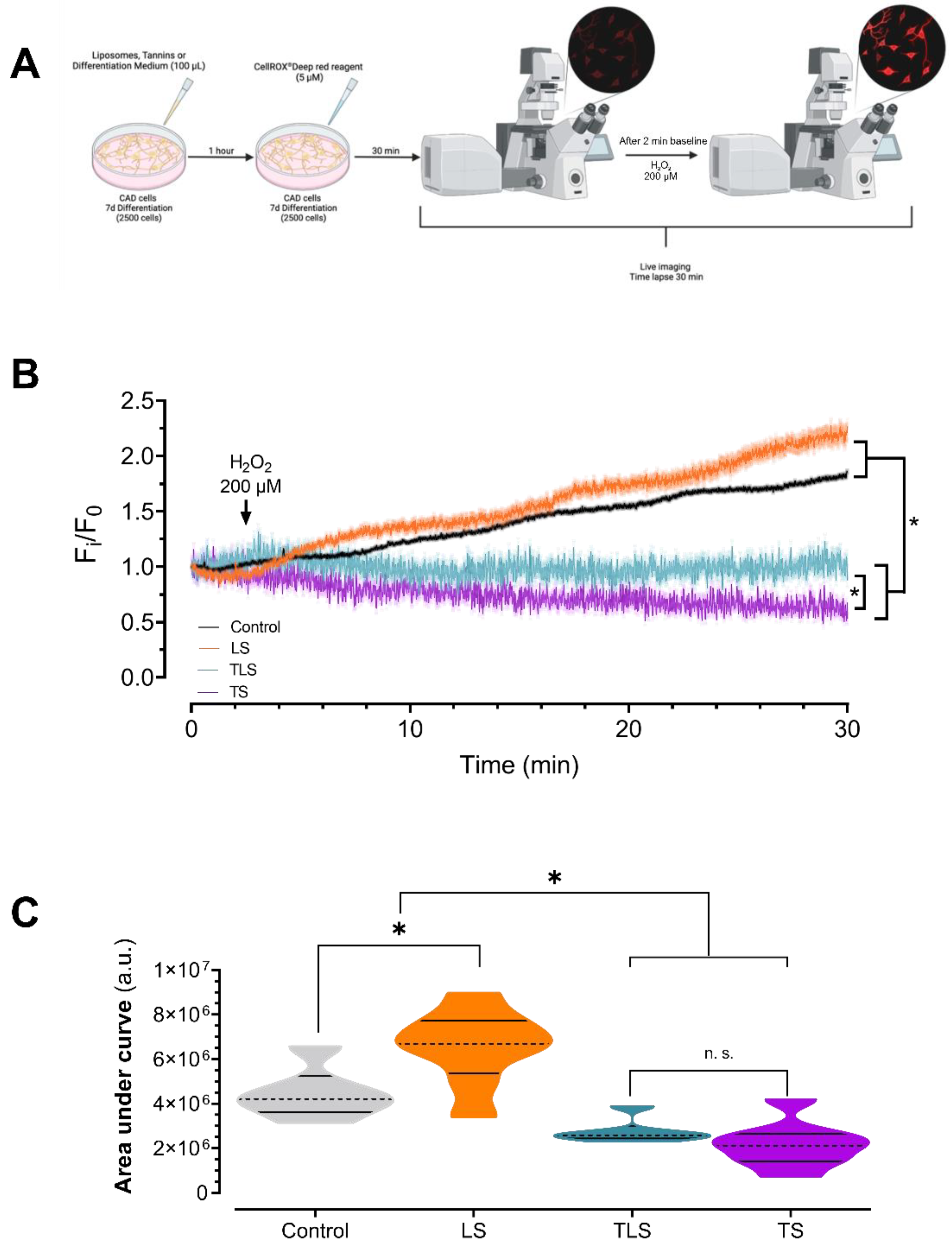 Antioxidants 11 01928 g002