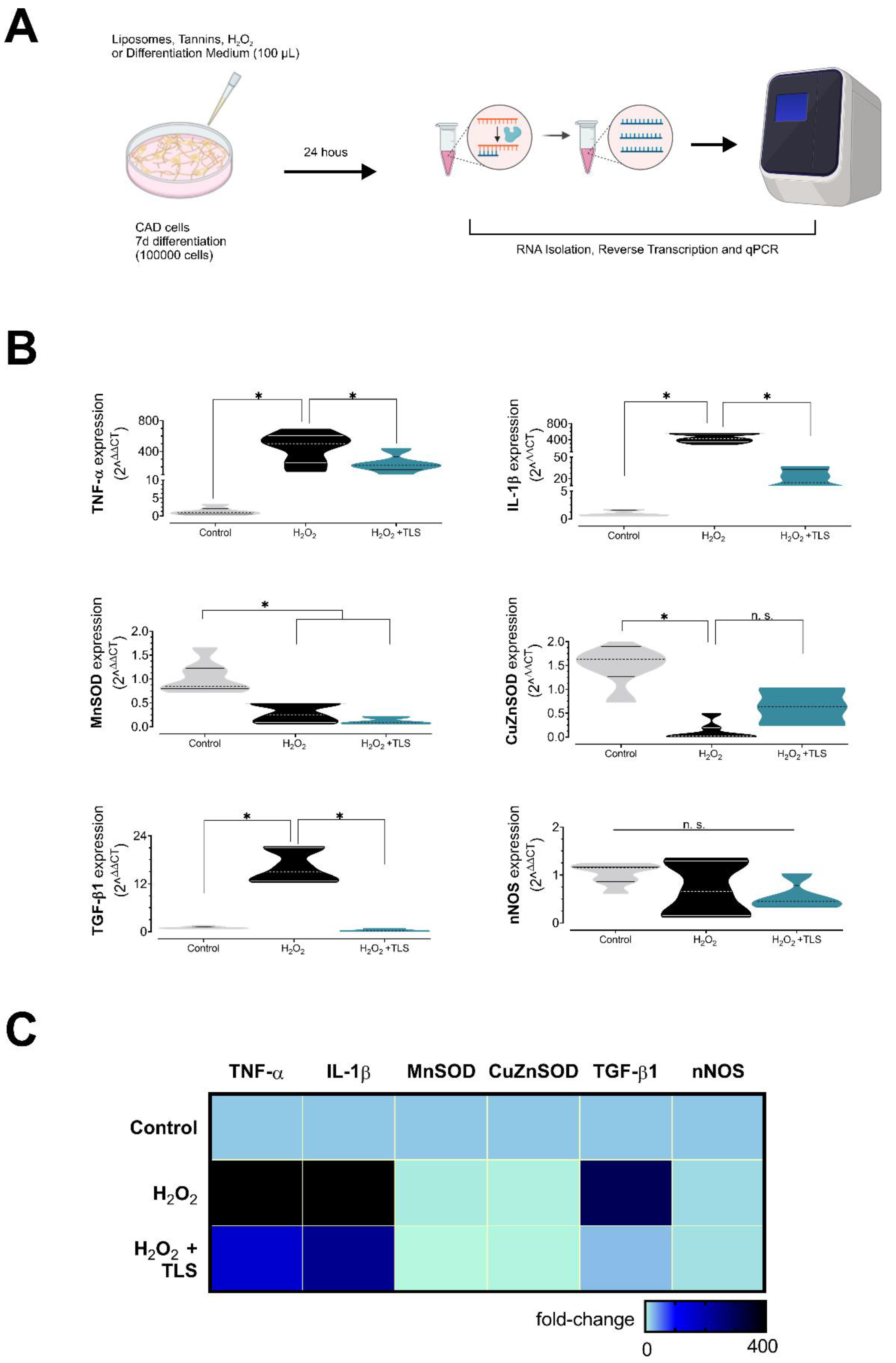 Antioxidants 11 01928 g003