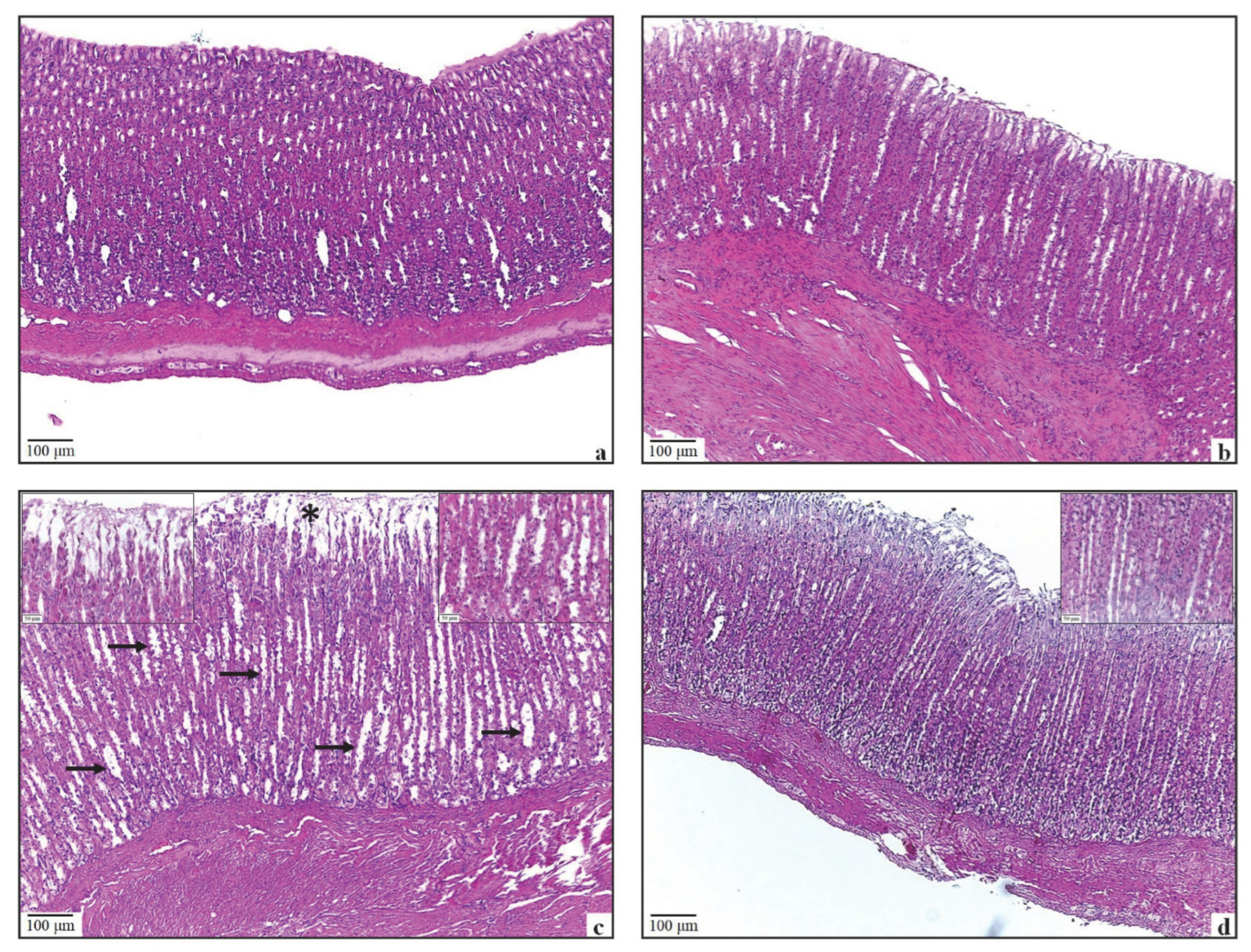 Antioxidants 11 01930 g003