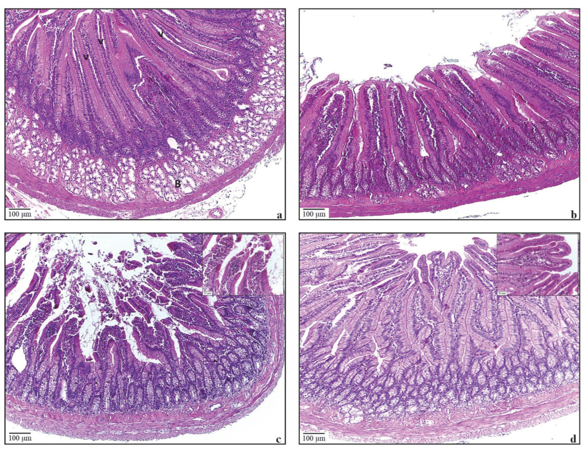 Antioxidants 11 01930 g004
