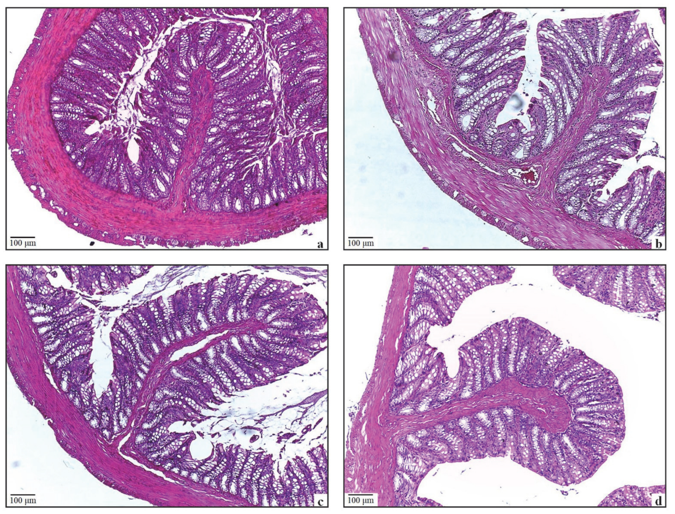 Antioxidants 11 01930 g005