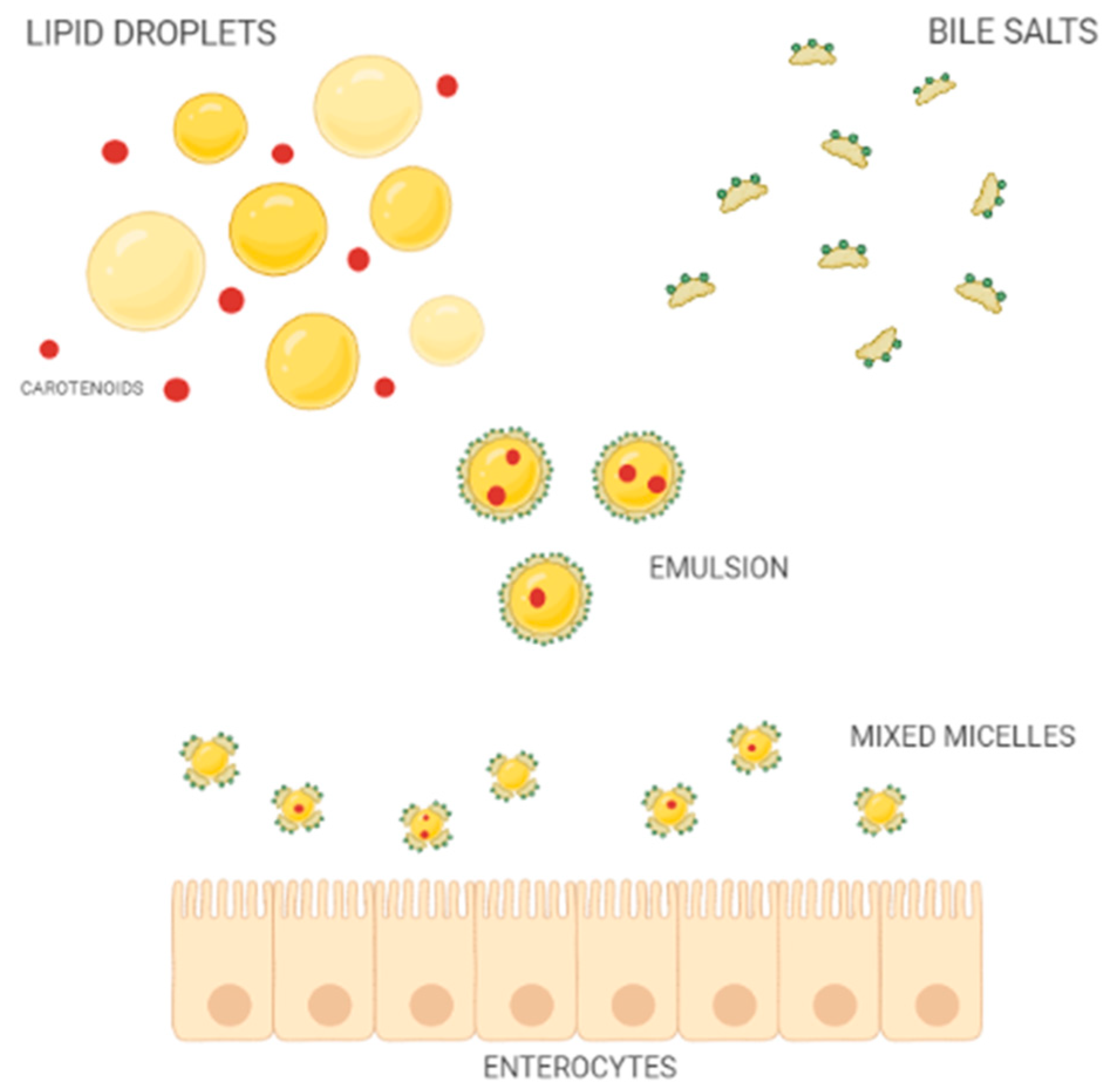 Antioxidants 11 01931 g002 Antioxidants 11 01931 g002