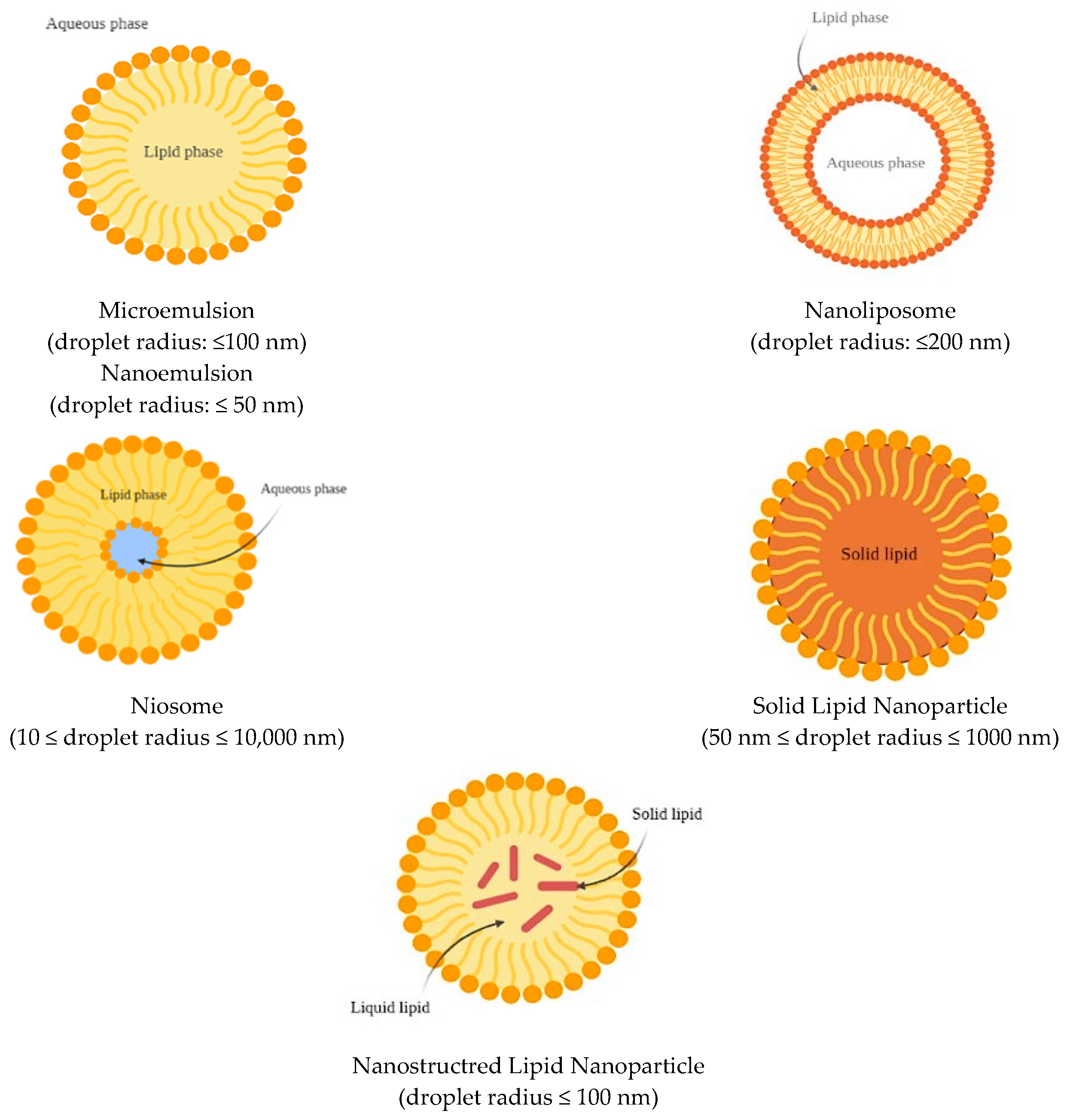 Antioxidants 11 01931 g003 Antioxidants 11 01931 g003