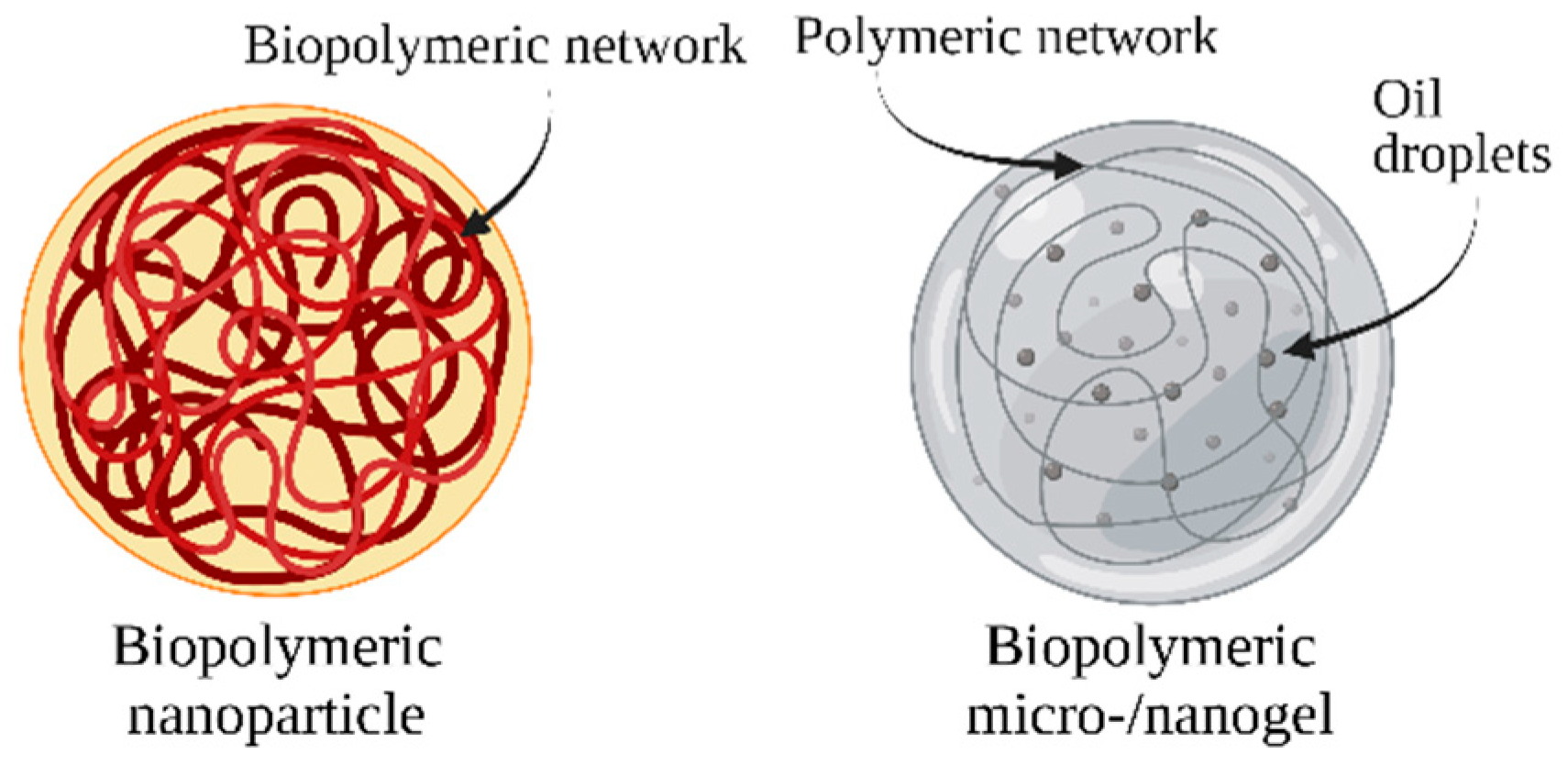 Antioxidants 11 01931 g004 Antioxidants 11 01931 g004