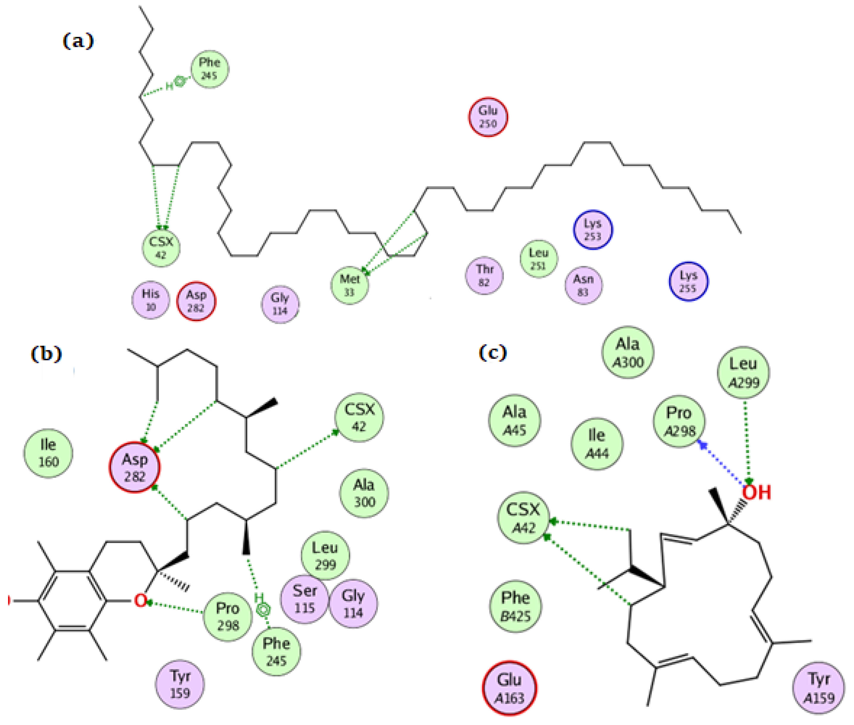 Antioxidants 11 01937 g004 Antioxidants 11 01937 g004