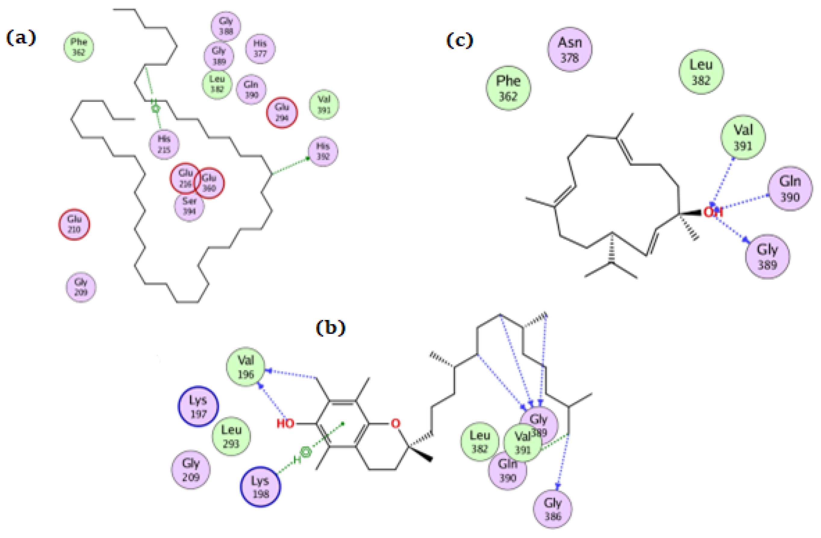 Antioxidants 11 01937 g007 Antioxidants 11 01937 g007
