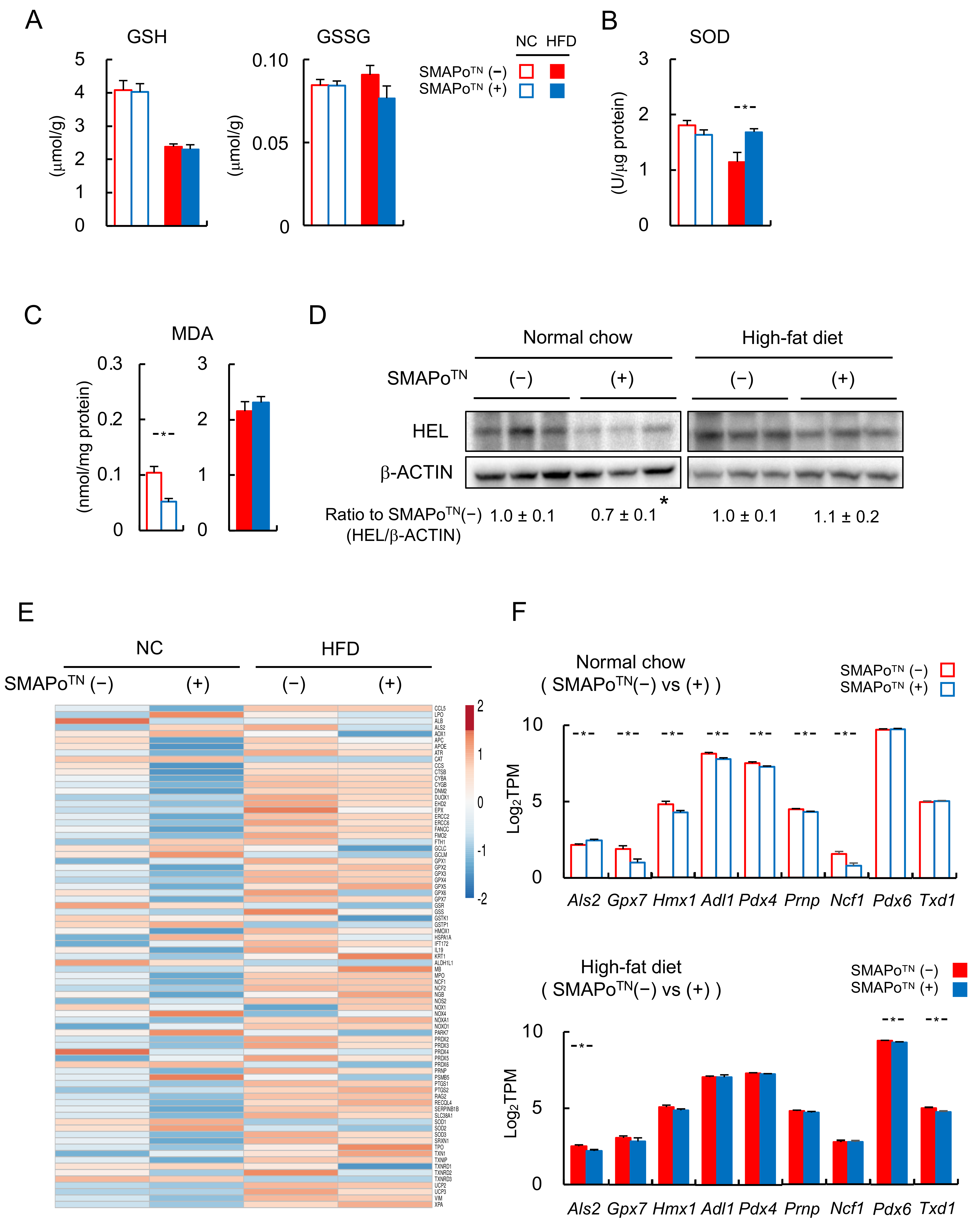 Antioxidants 11 01939 g002 Antioxidants 11 01939 g002