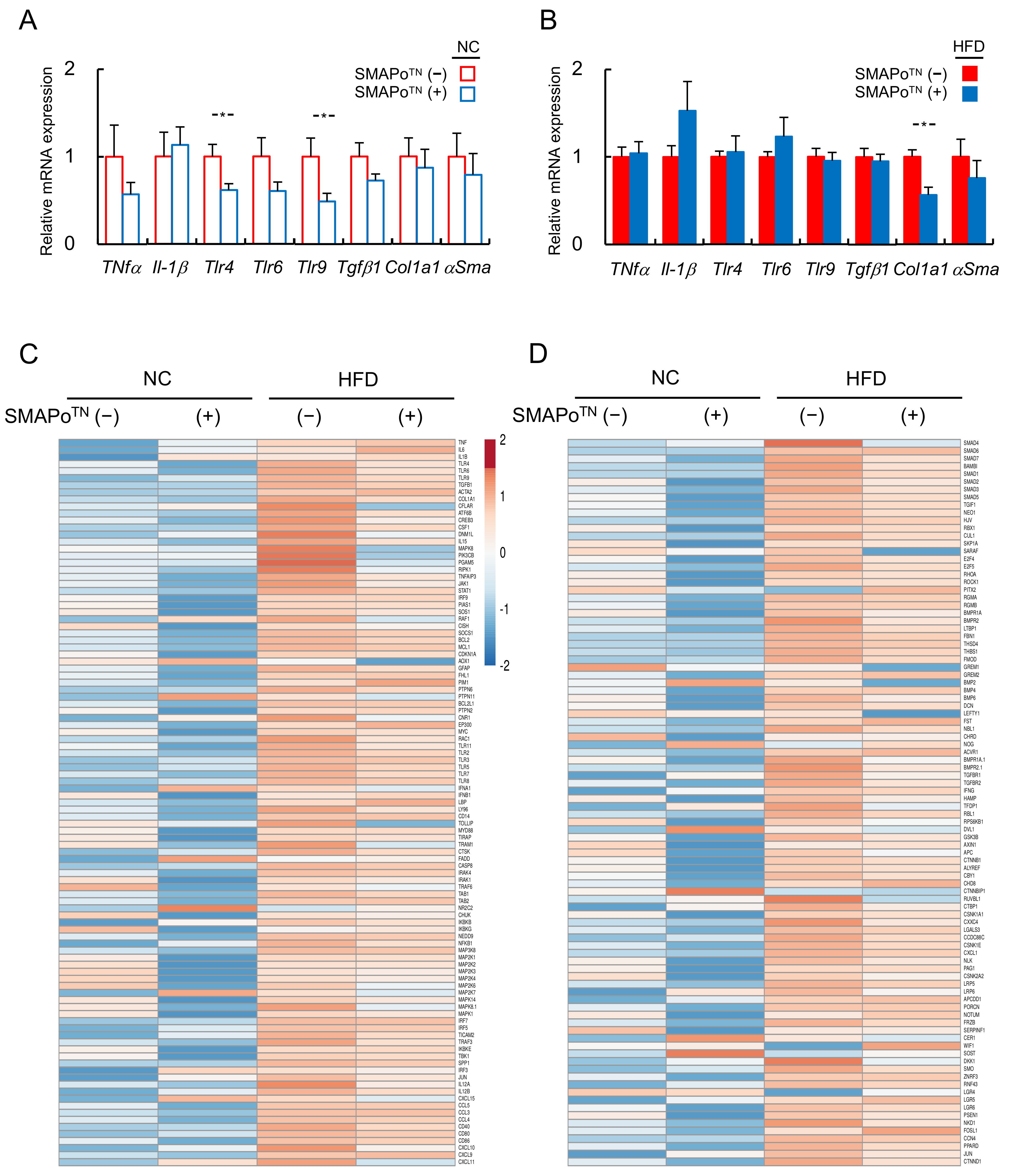 Antioxidants 11 01939 g003 Antioxidants 11 01939 g003