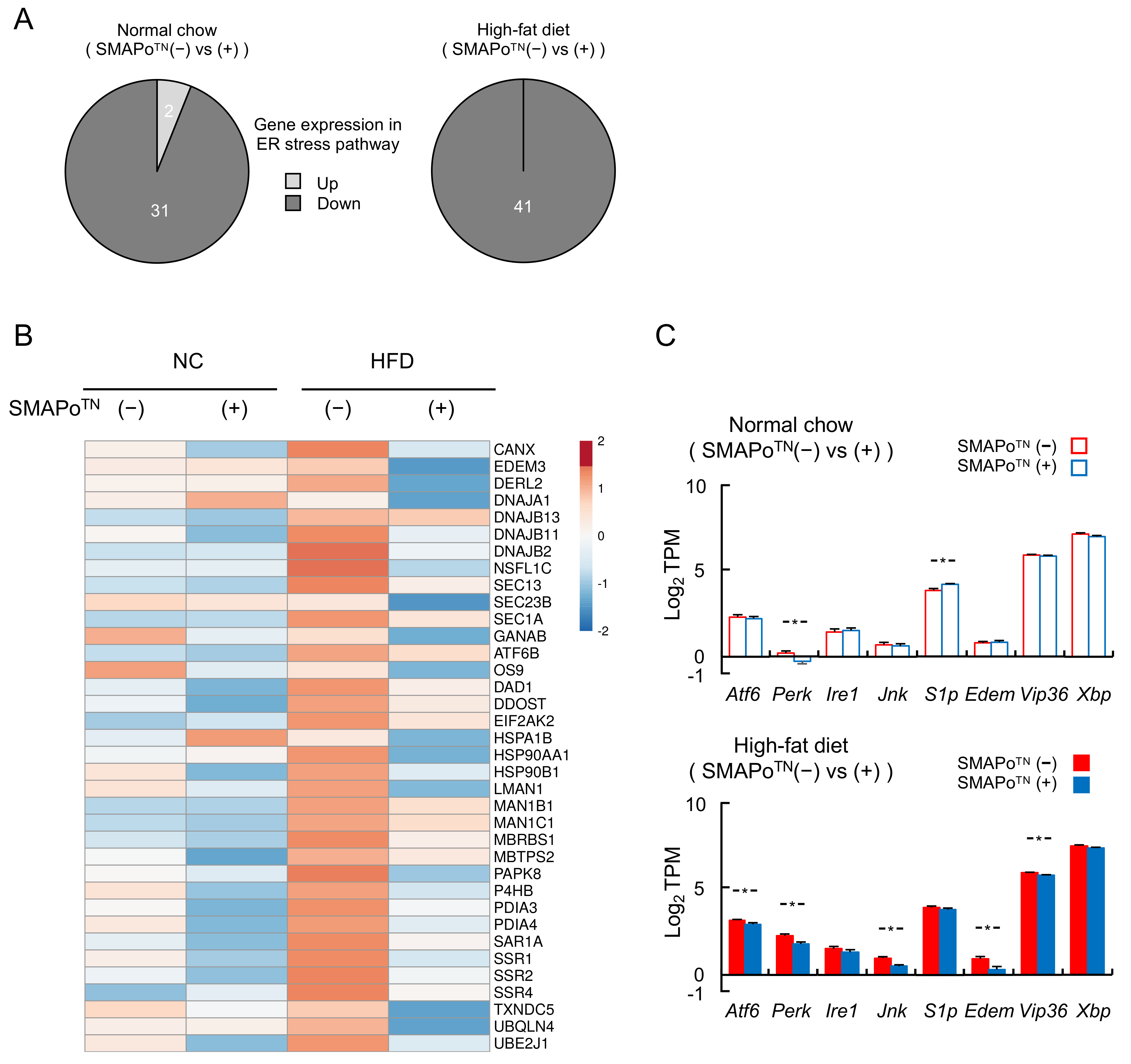 Antioxidants 11 01939 g004 Antioxidants 11 01939 g004