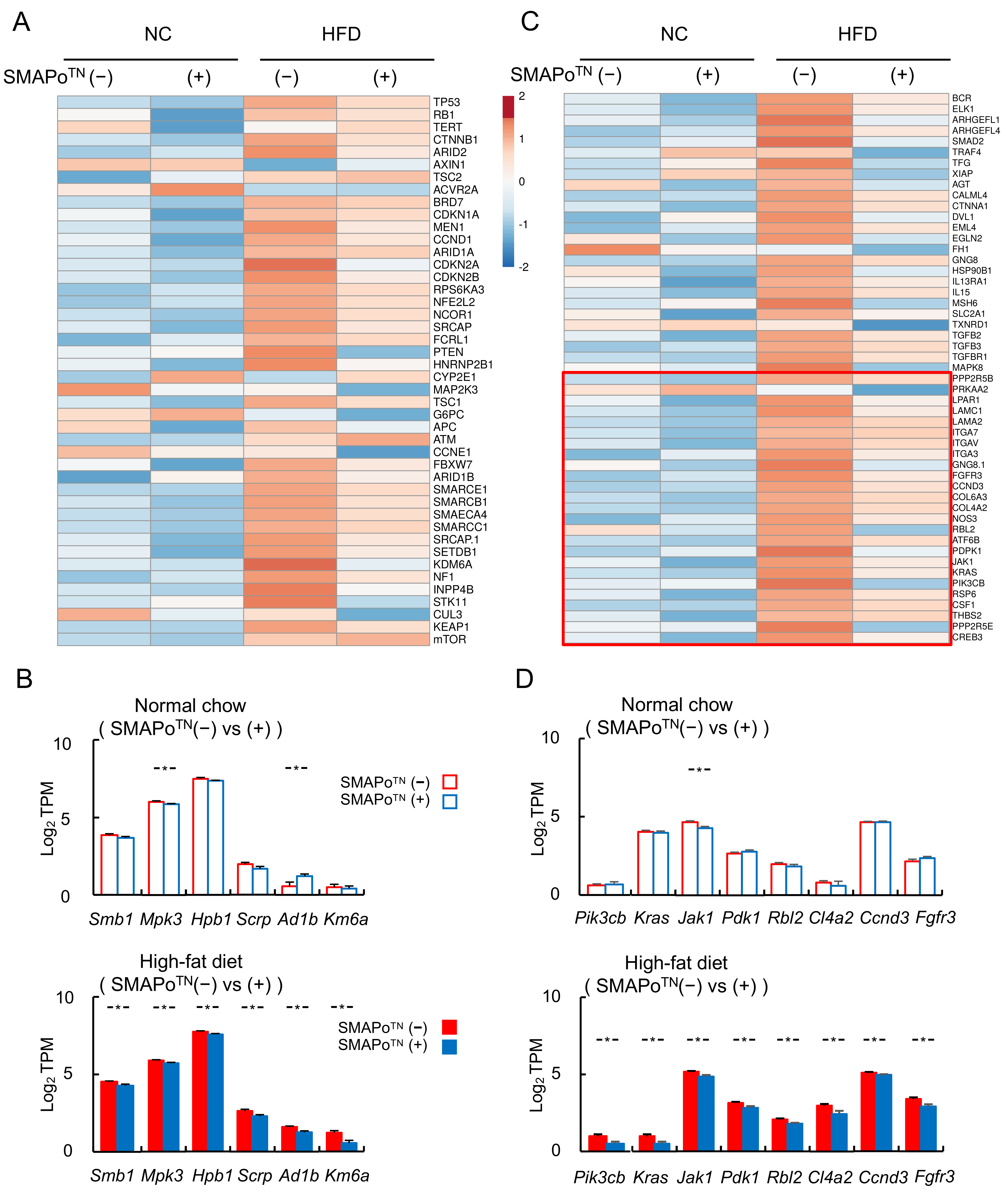 Antioxidants 11 01939 g005 Antioxidants 11 01939 g005