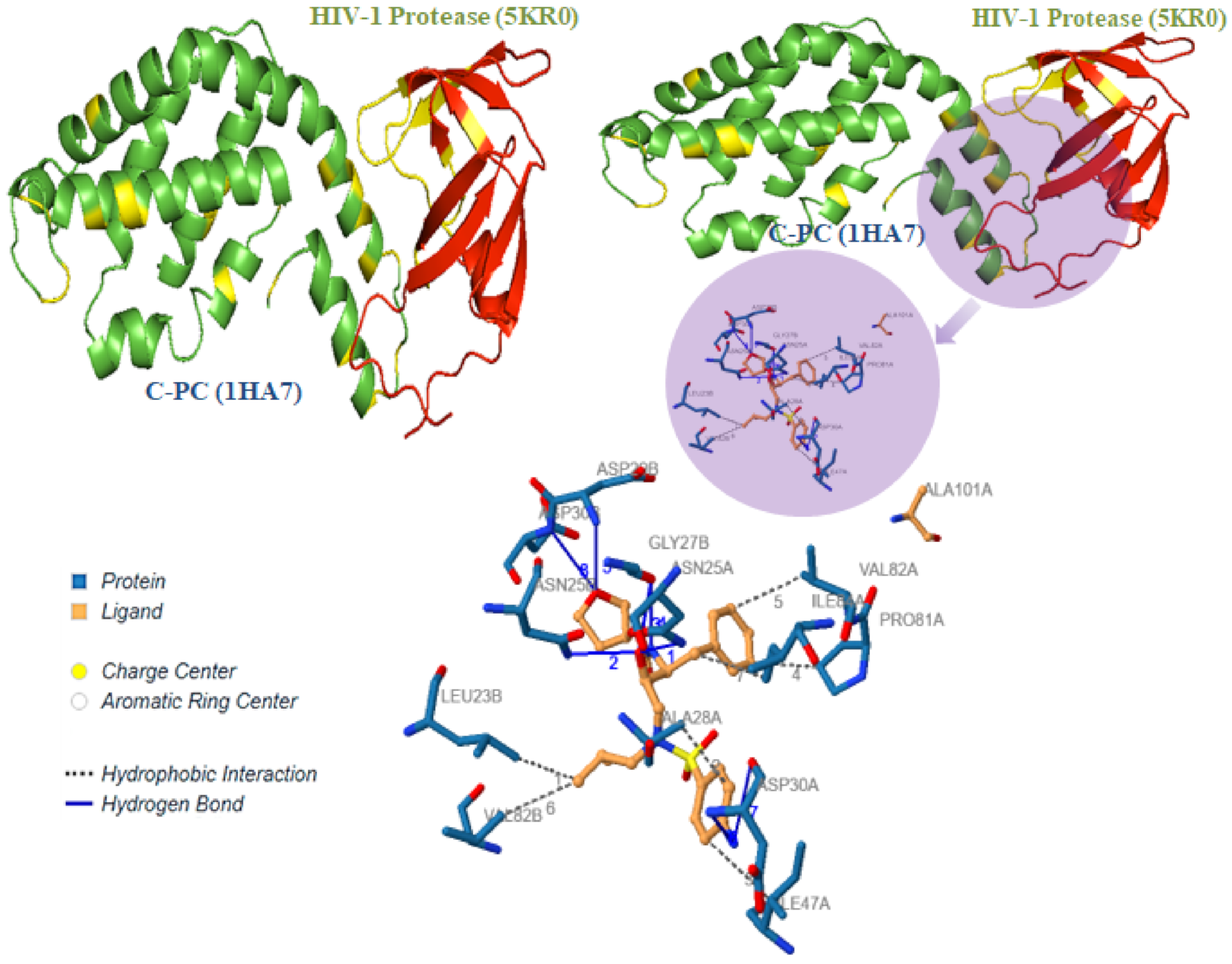 Antioxidants 11 01942 g005