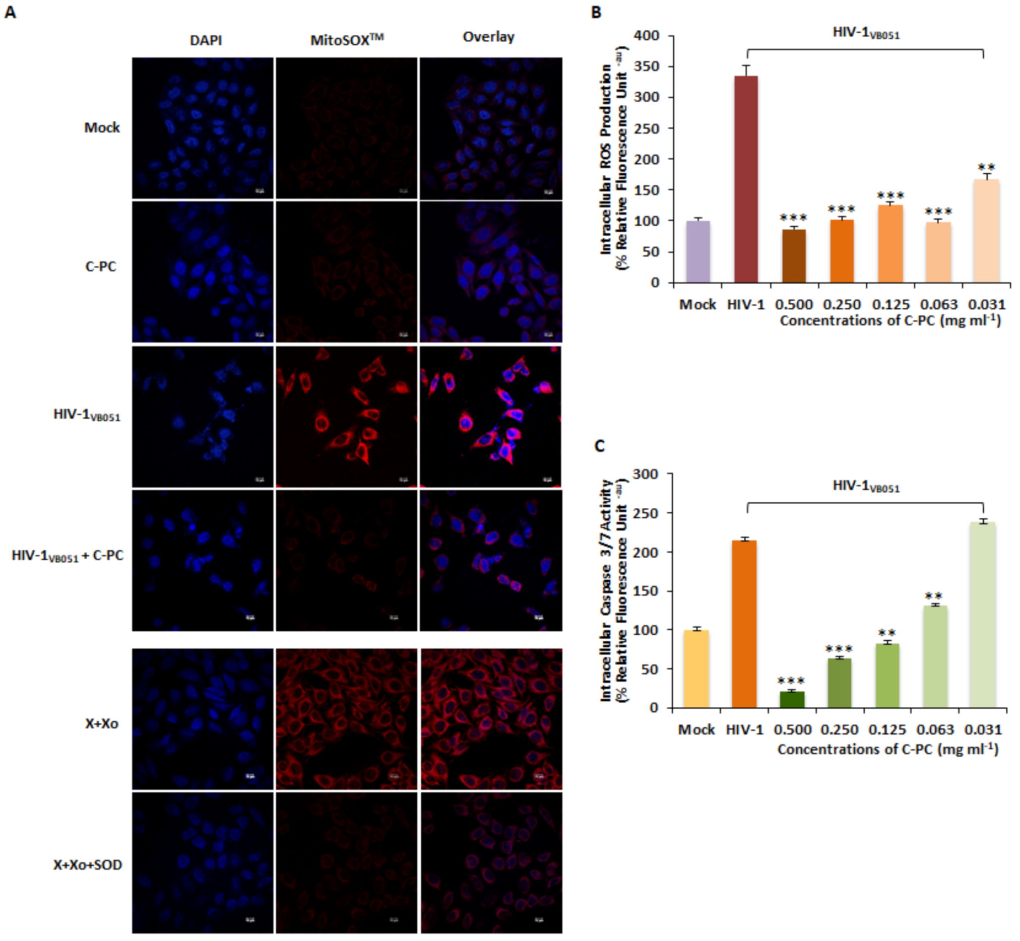 Antioxidants 11 01942 g007