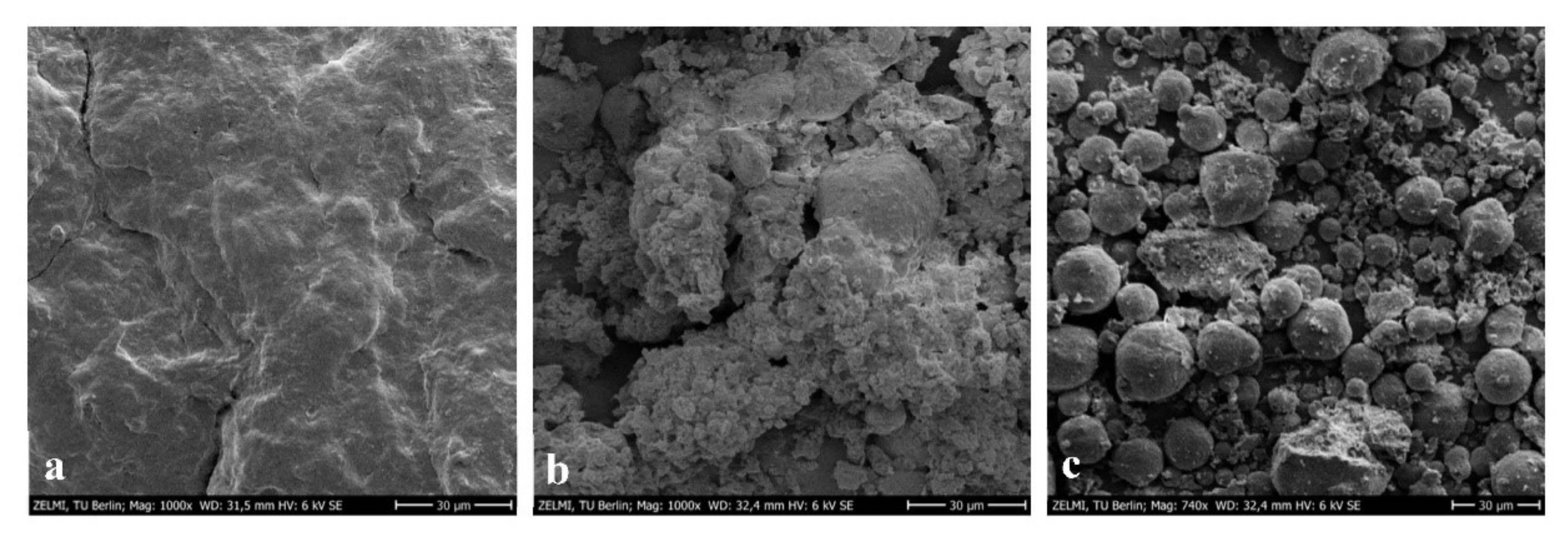 Antioxidants 11 01943 g004 Antioxidants 11 01943 g004