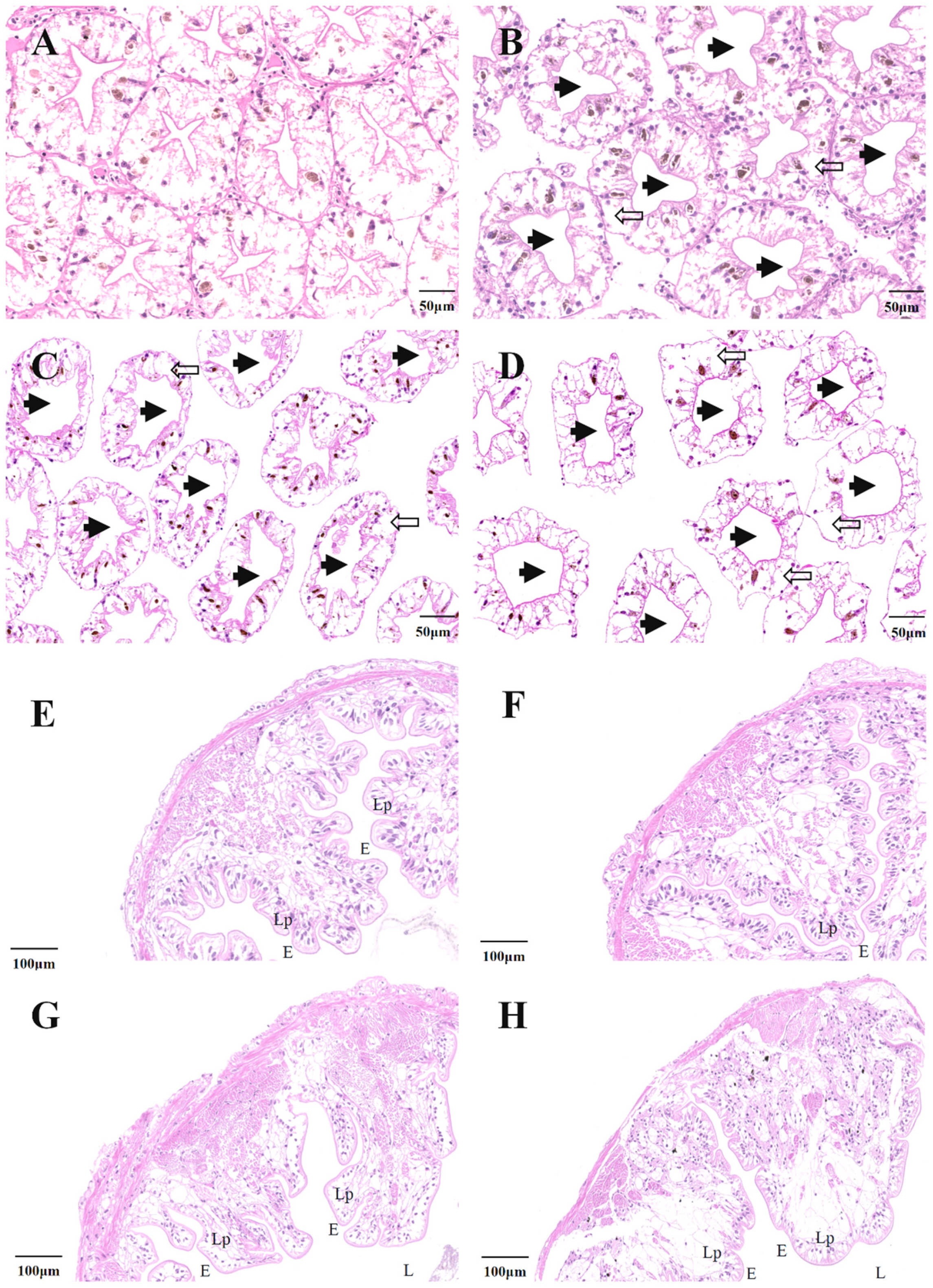 Antioxidants 11 01944 g002