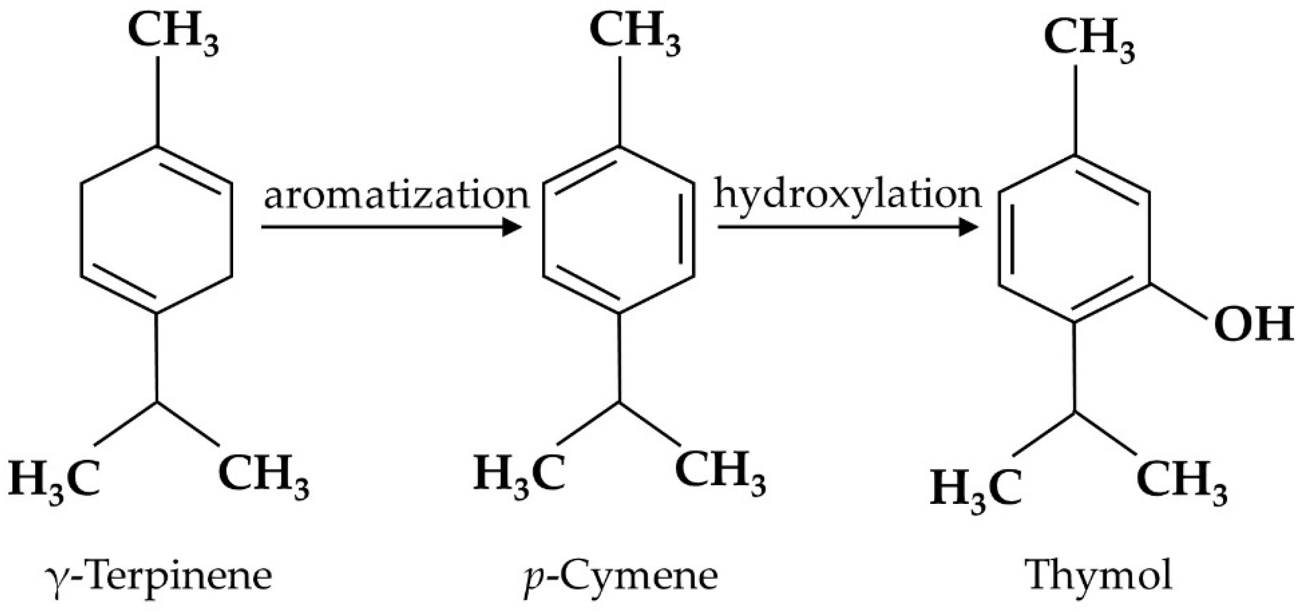 Antioxidants 11 01947 g001 Antioxidants 11 01947 g001