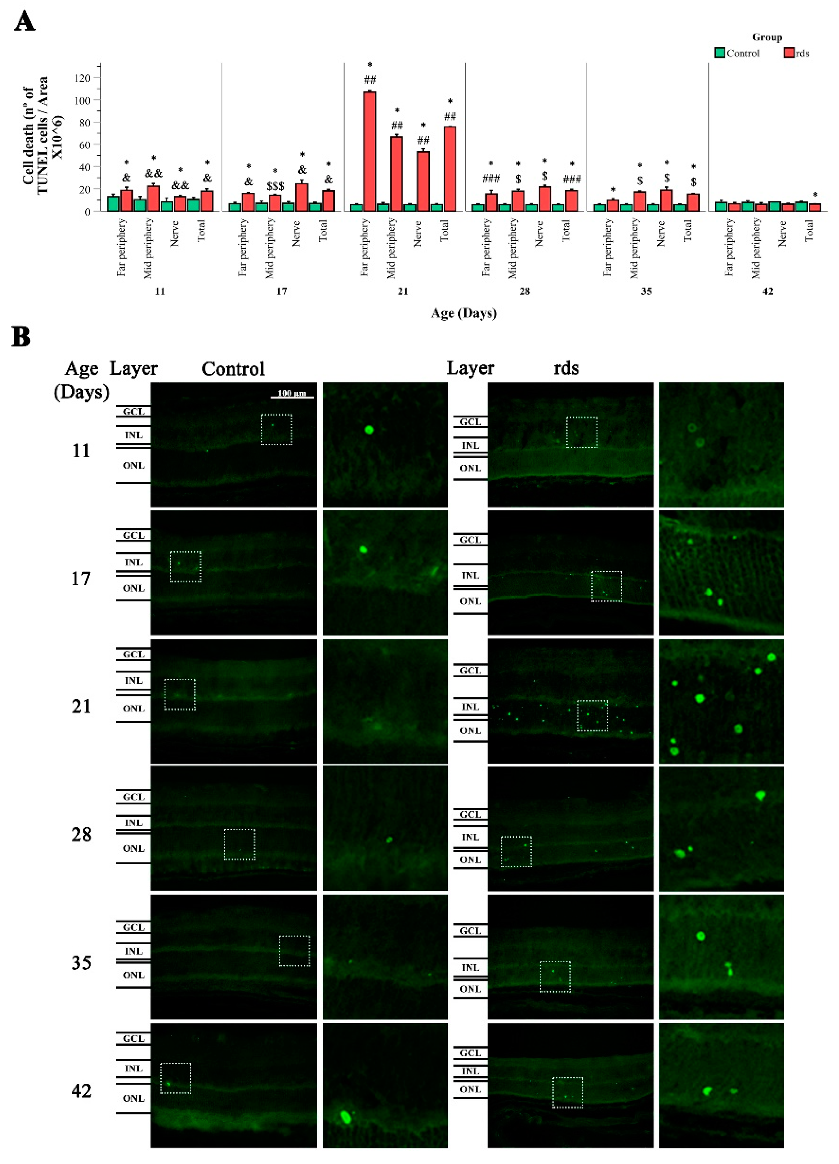 Antioxidants 11 01950 g002 Antioxidants 11 01950 g002