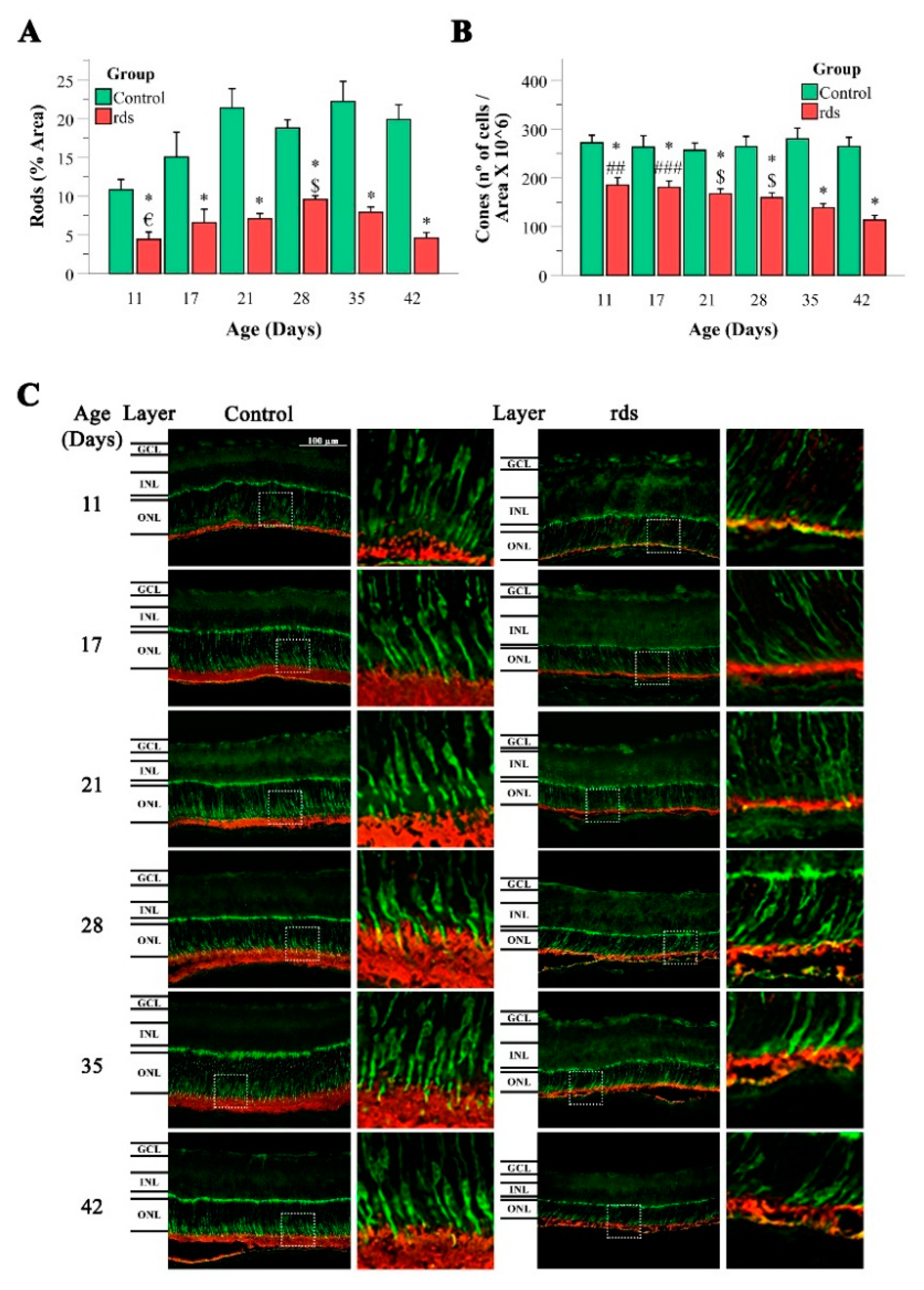Antioxidants 11 01950 g003 Antioxidants 11 01950 g003
