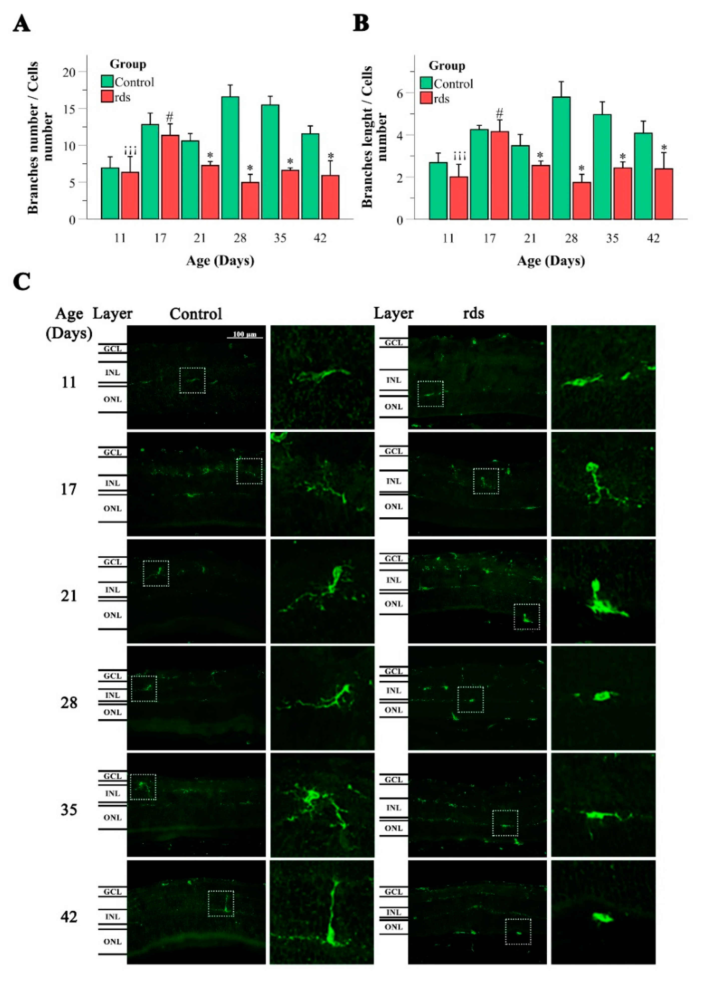 Antioxidants 11 01950 g010 Antioxidants 11 01950 g010