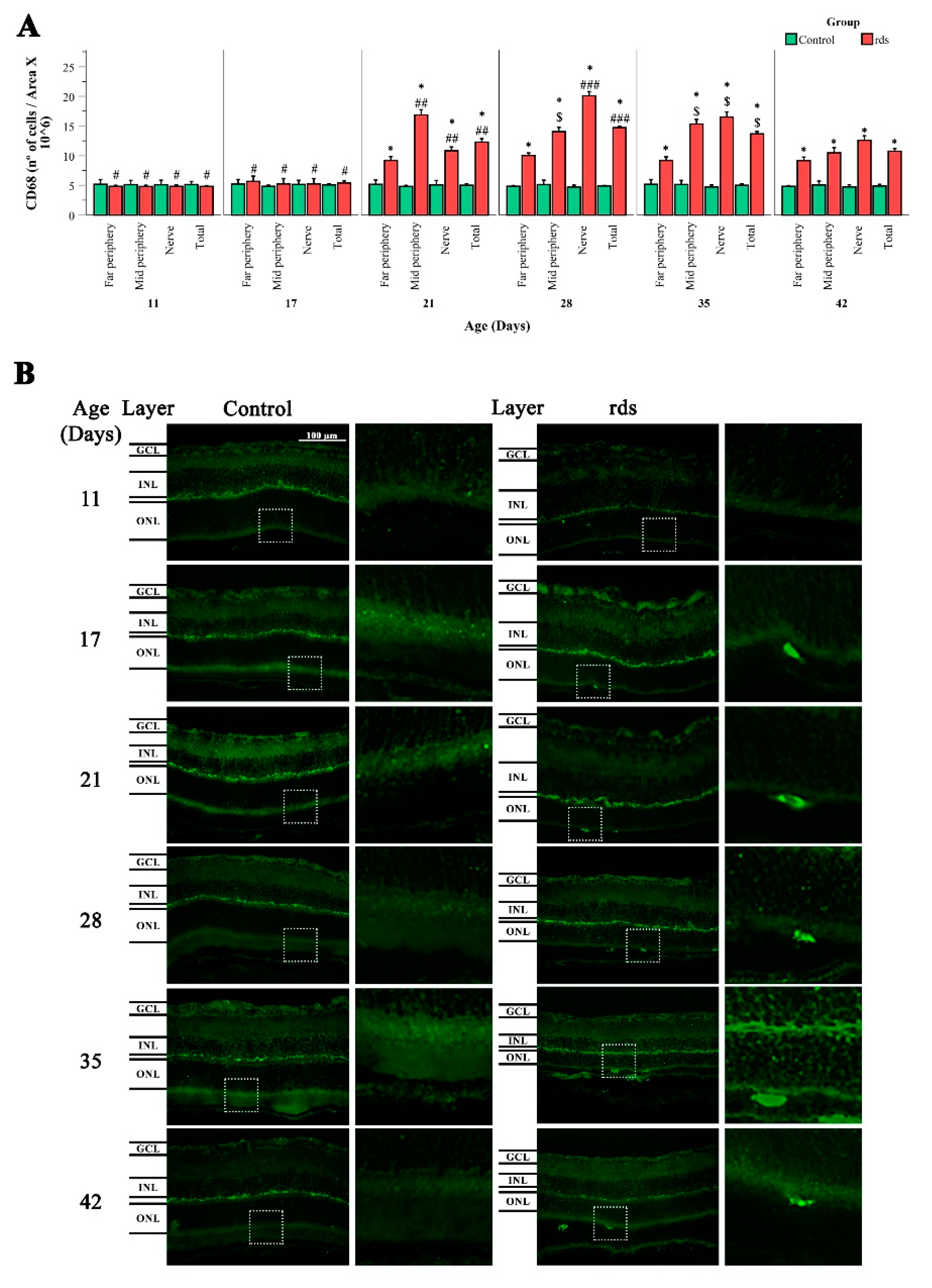 Antioxidants 11 01950 g011 Antioxidants 11 01950 g011