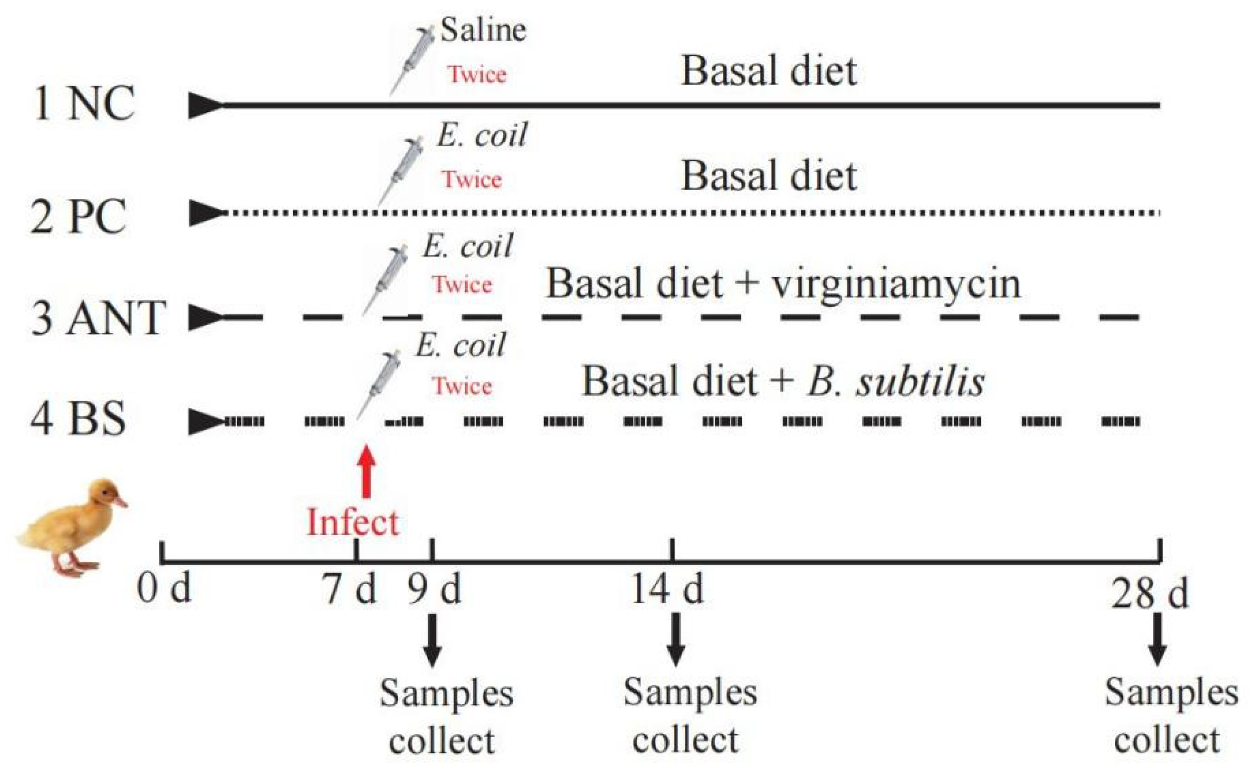 Antioxidants 11 01951 g001