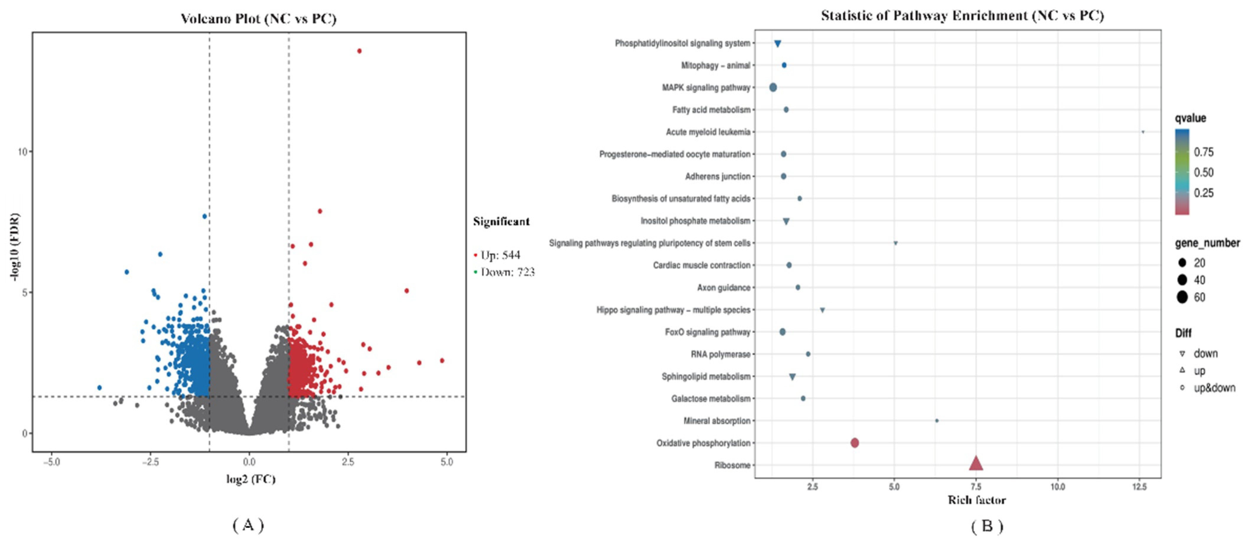 Antioxidants 11 01951 g006