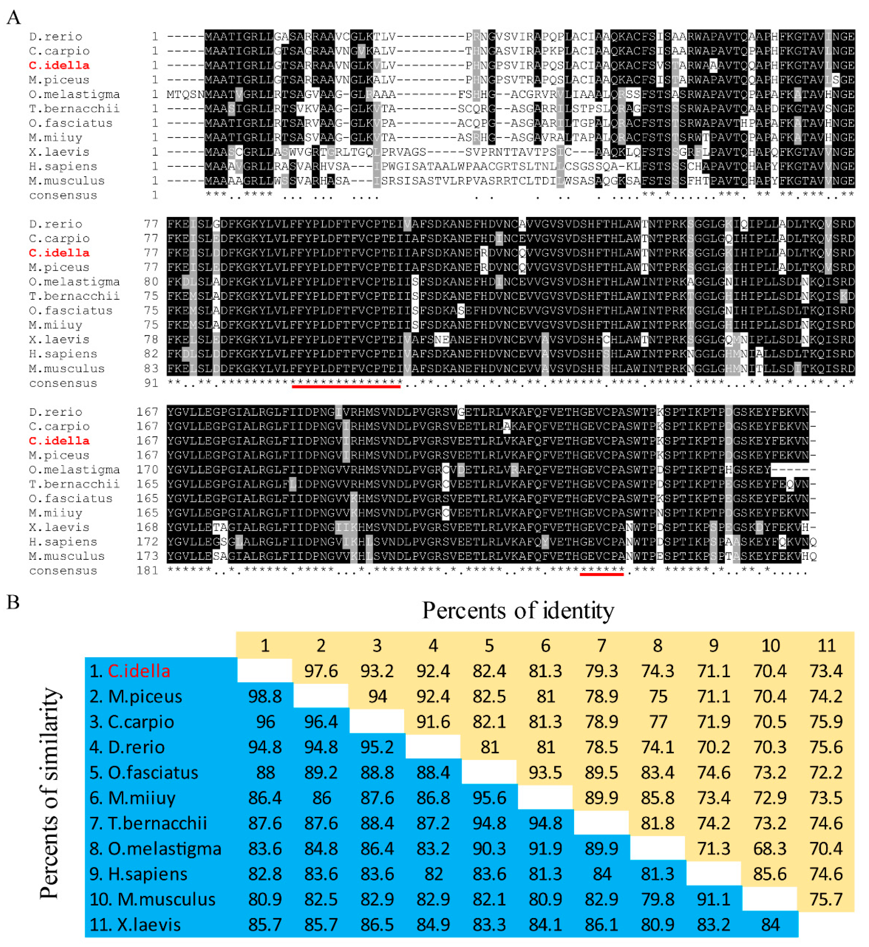 Antioxidants 11 01952 g001 Antioxidants 11 01952 g001