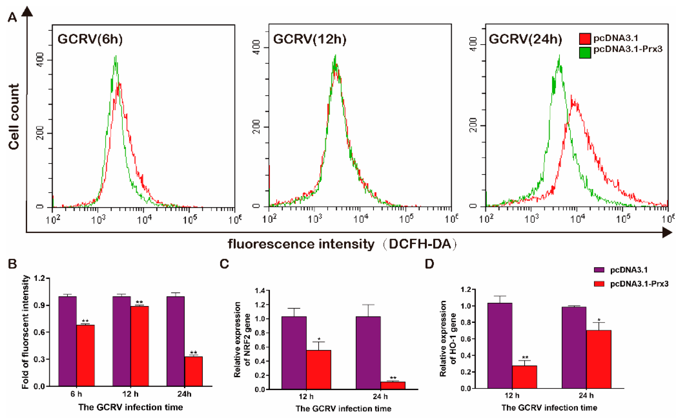 Antioxidants 11 01952 g006 Antioxidants 11 01952 g006