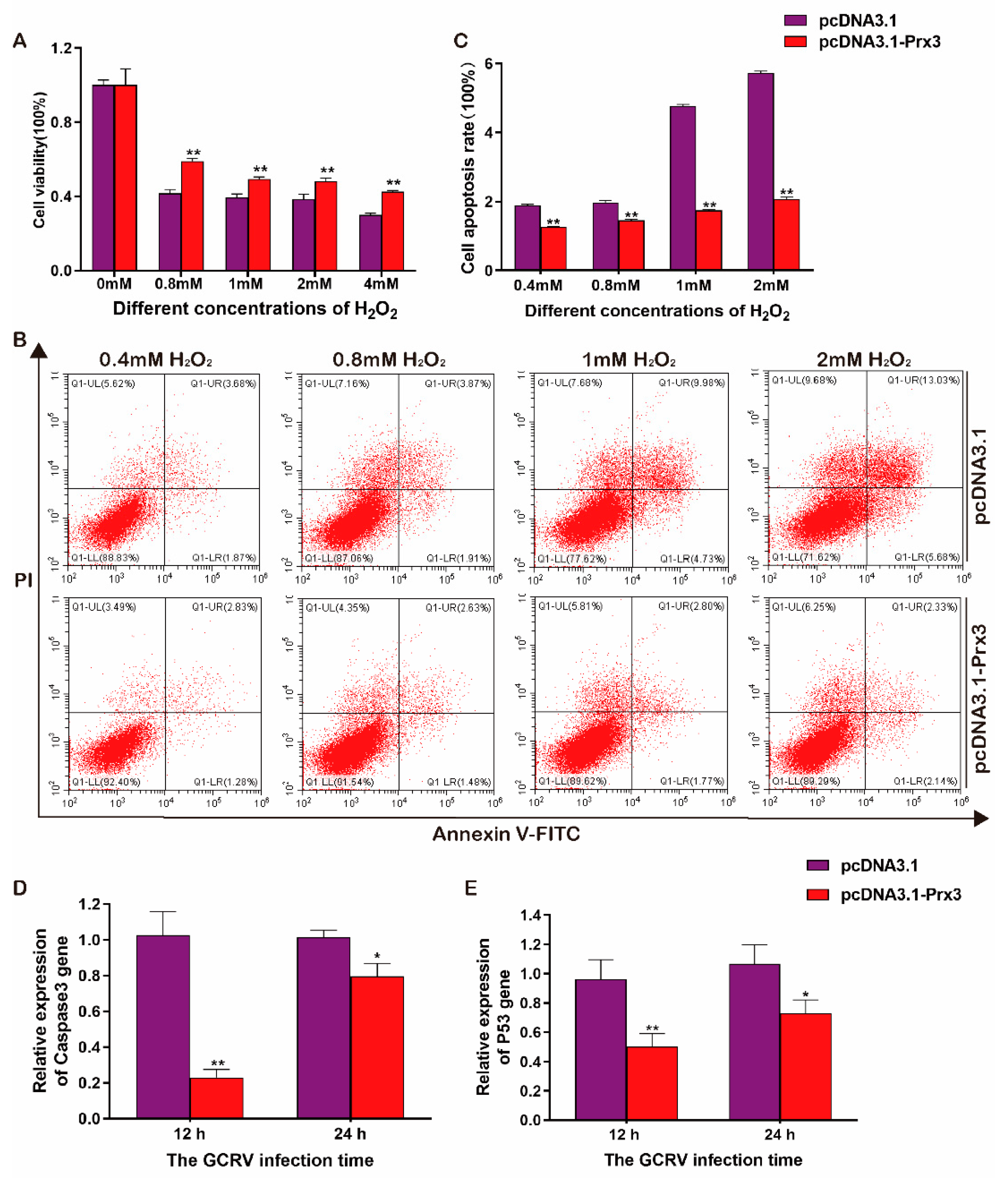 Antioxidants 11 01952 g008 Antioxidants 11 01952 g008