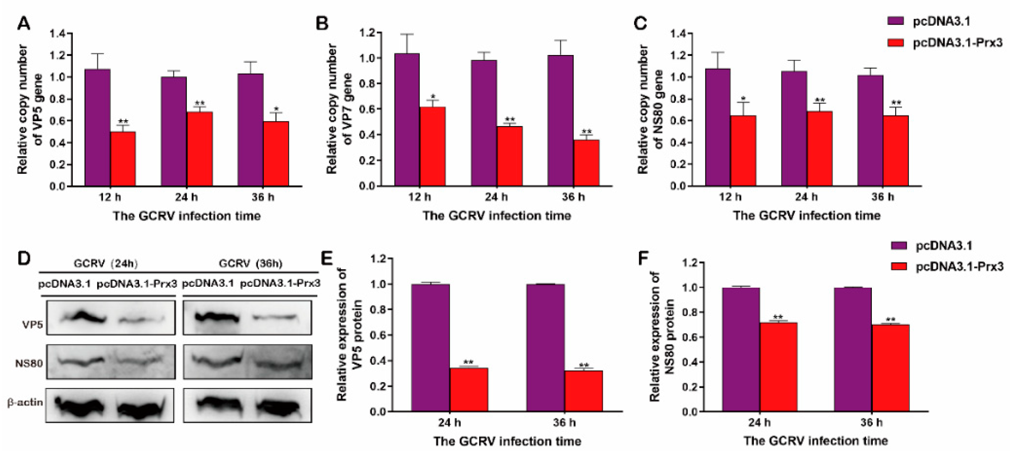 Antioxidants 11 01952 g009 Antioxidants 11 01952 g009