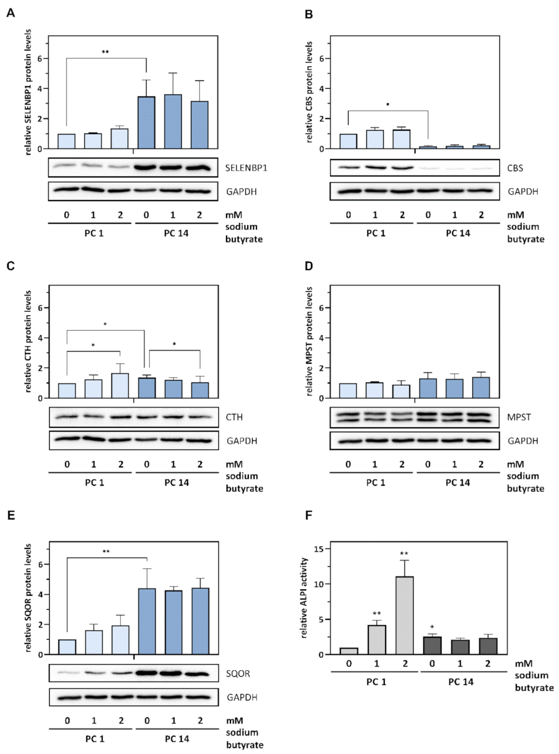 Antioxidants 11 01957 g004